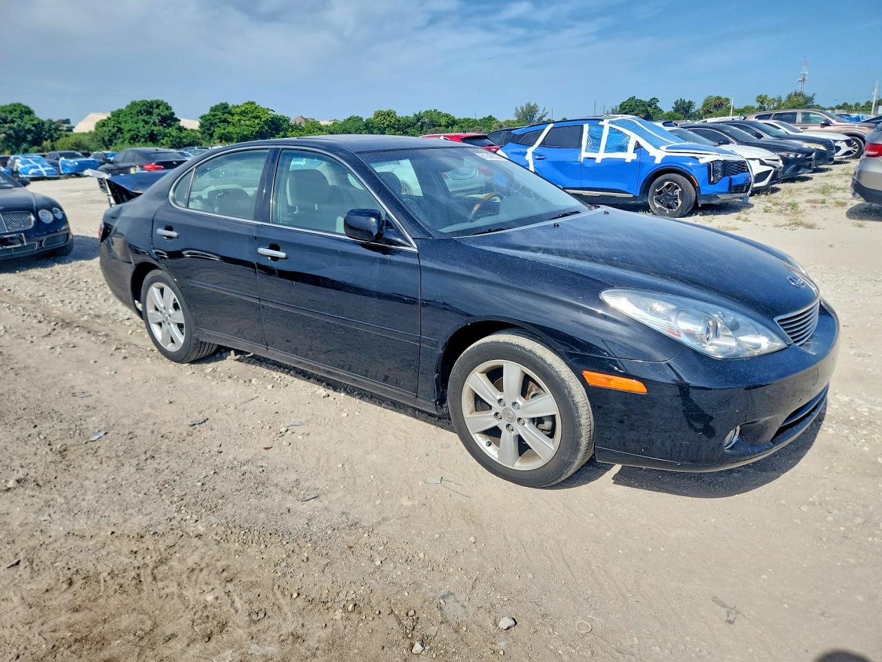 2006 Lexus Es 330 Black vin: JTHBA30G965173918