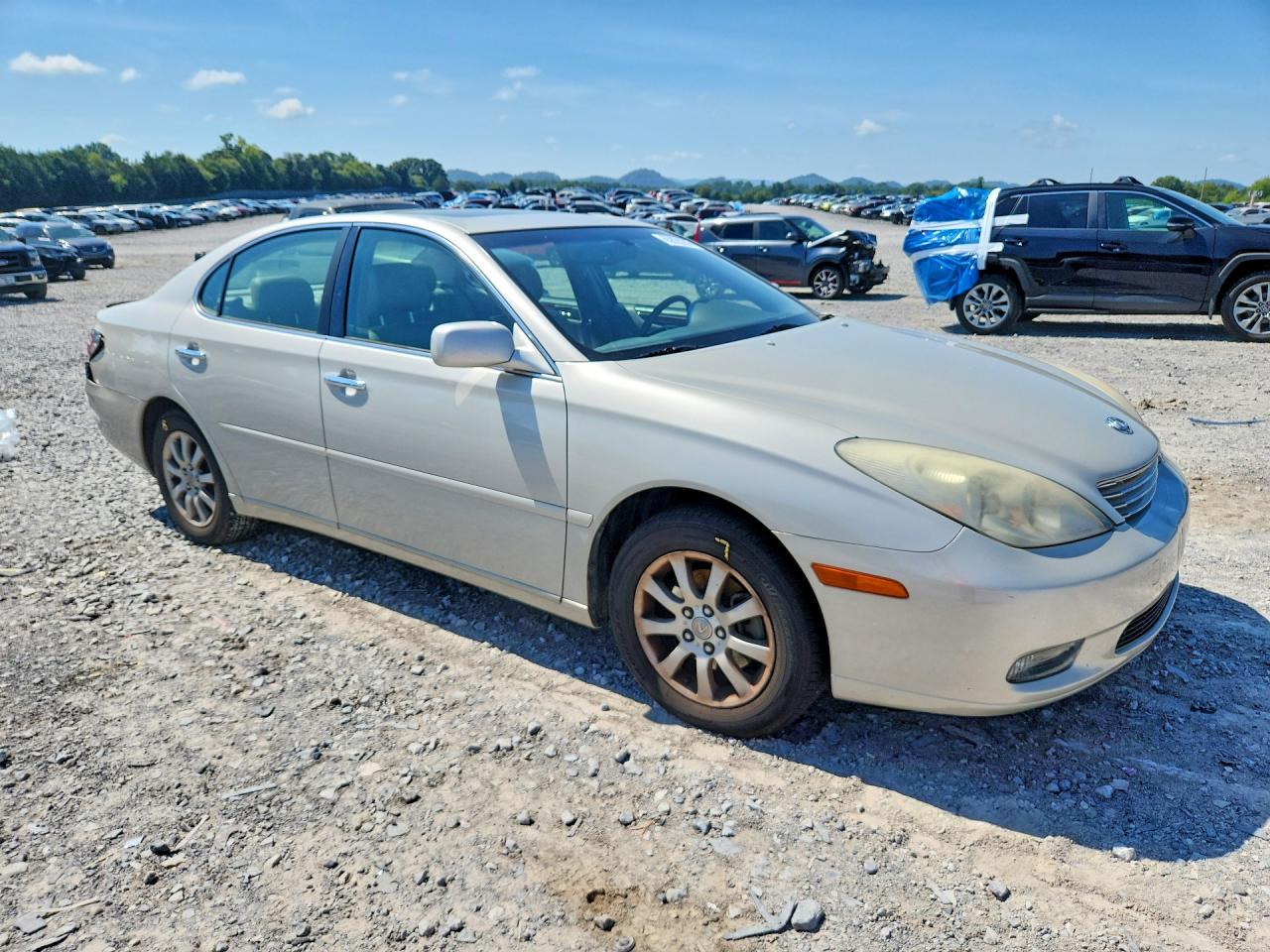 2004 Lexus Es 330 Beige vin: JTHBA30GX45016993