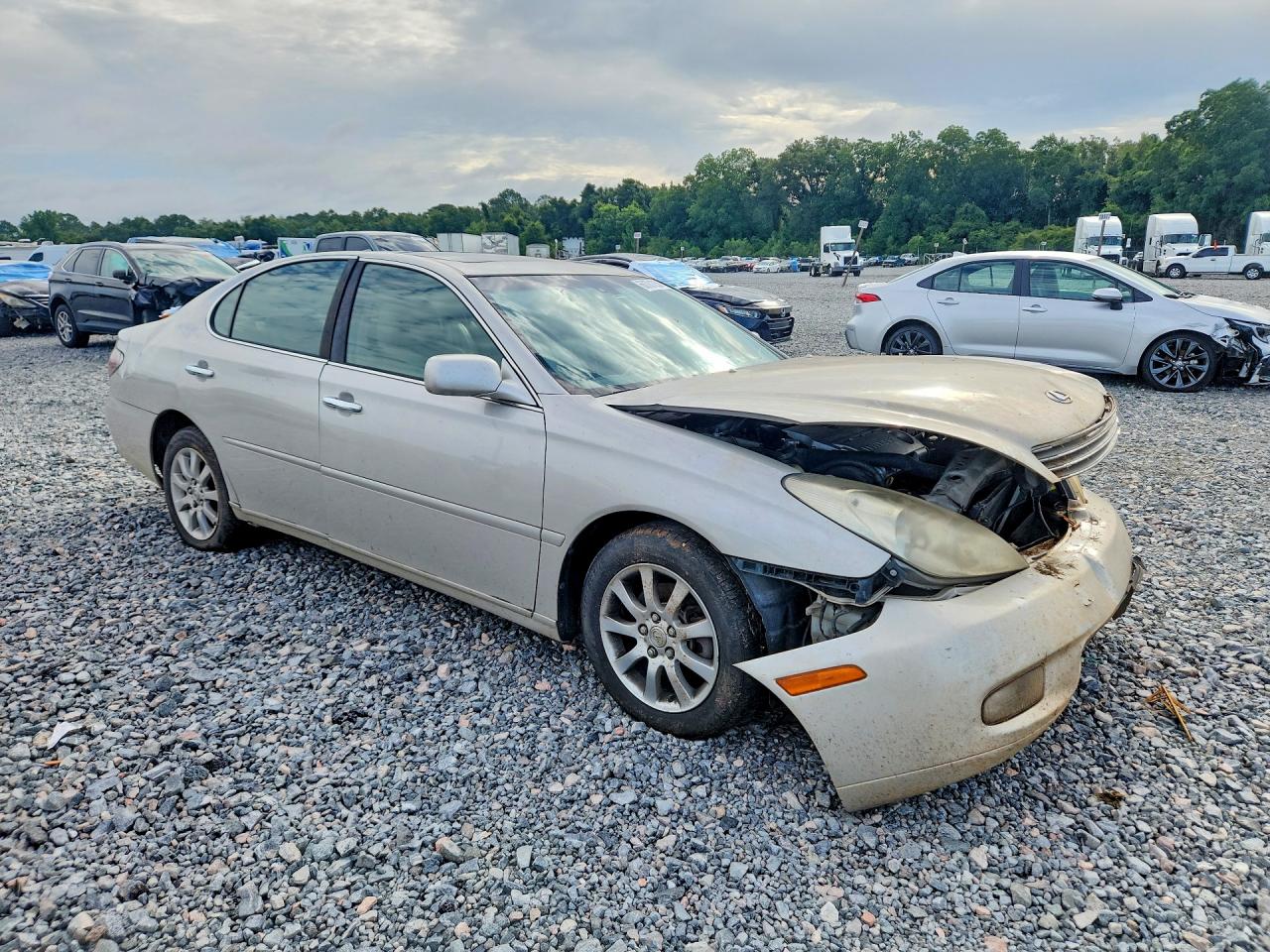 2004 Lexus Es 330 Gold vin: JTHBA30GX45043045