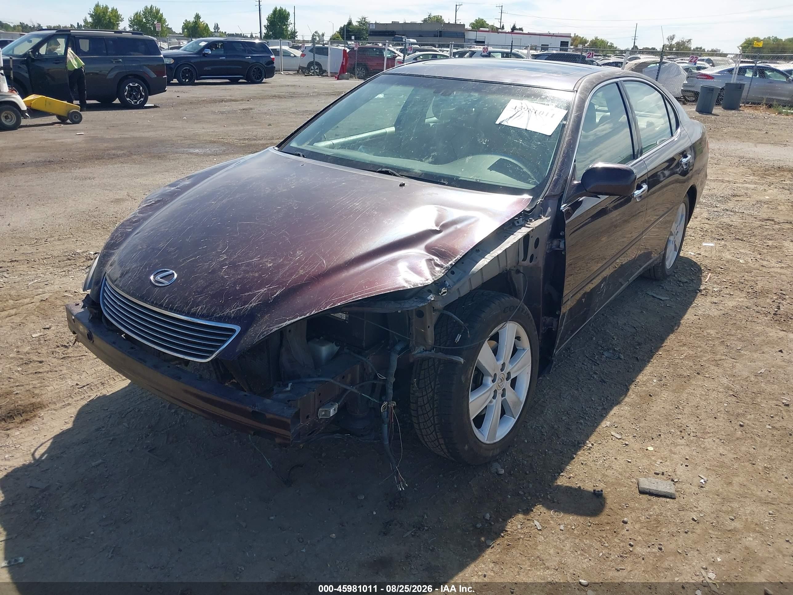 2005 Lexus Es 330 Бордовый vin: JTHBA30GX55060834