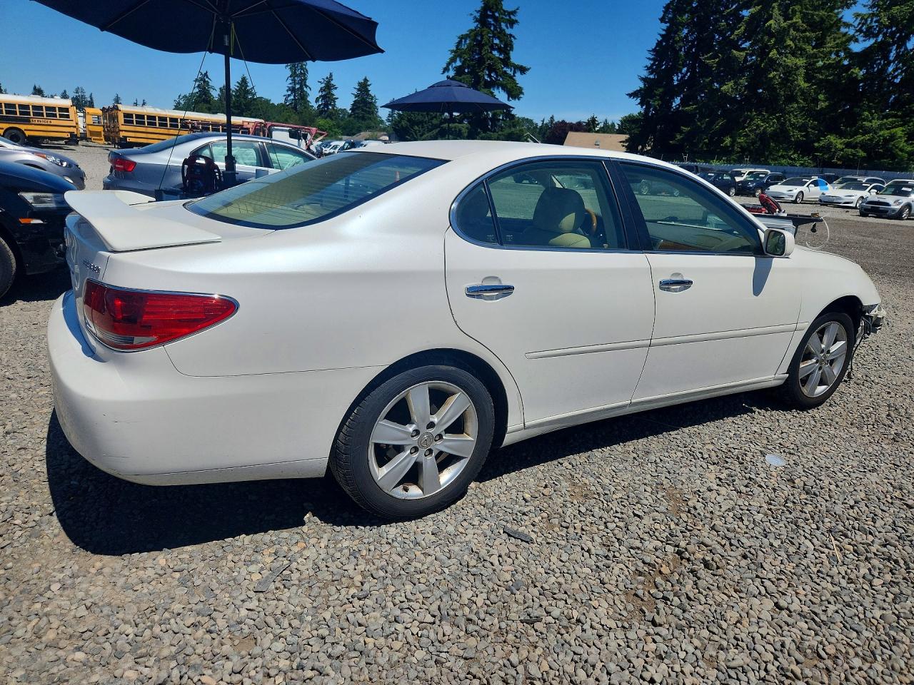 2005 Lexus Es 330 White vin: JTHBA30GX55070747