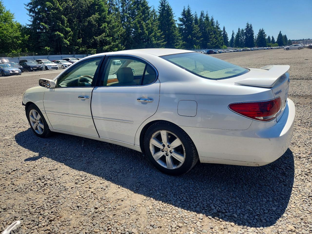 2005 Lexus Es 330 White vin: JTHBA30GX55070747