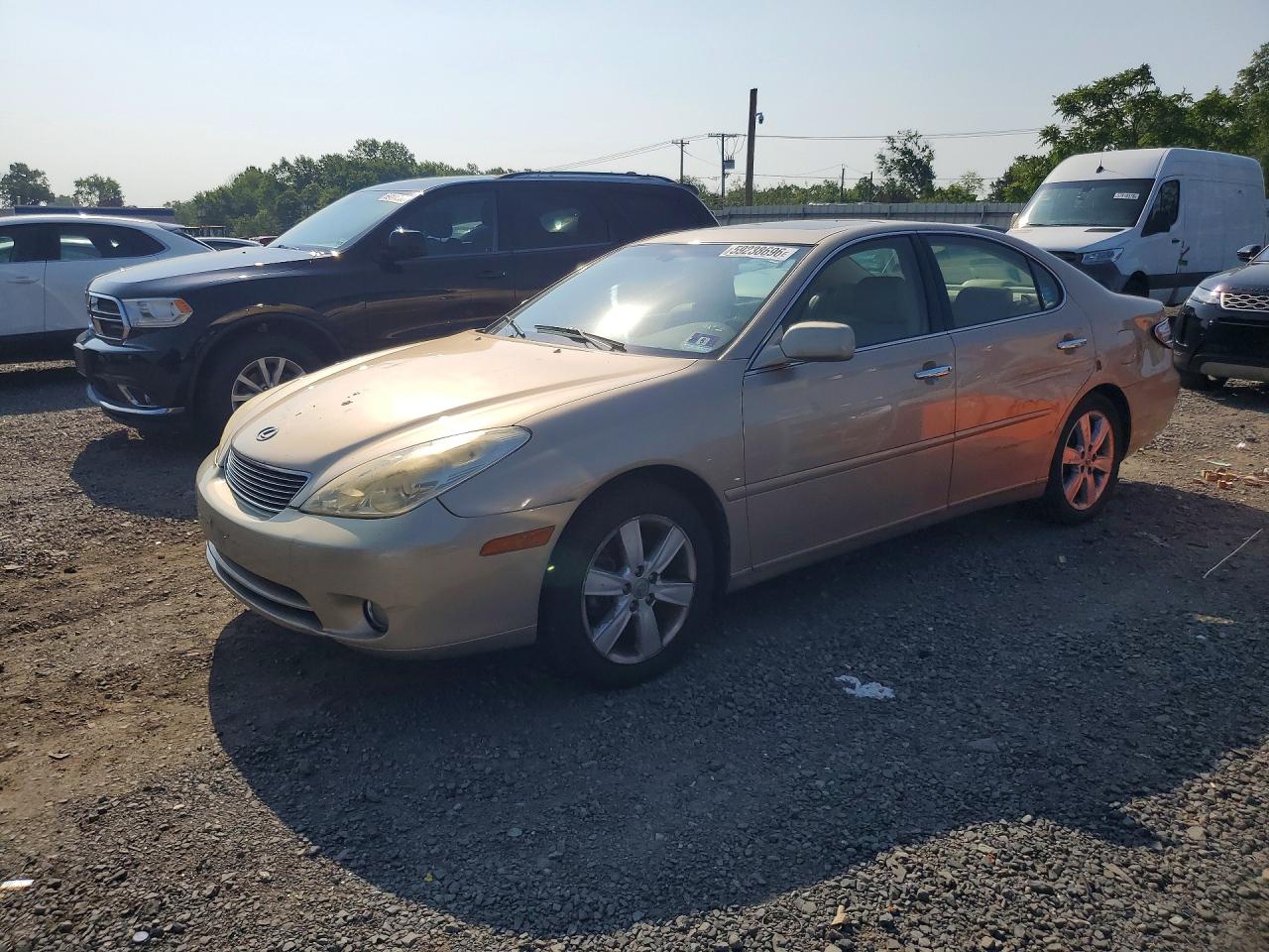 2005 Lexus Es 330 Tan vin: JTHBA30GX55089363