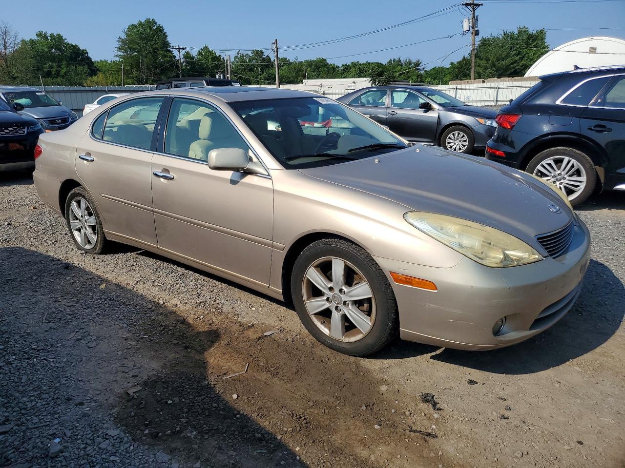2005 Lexus Es 330 Tan vin: JTHBA30GX55089363
