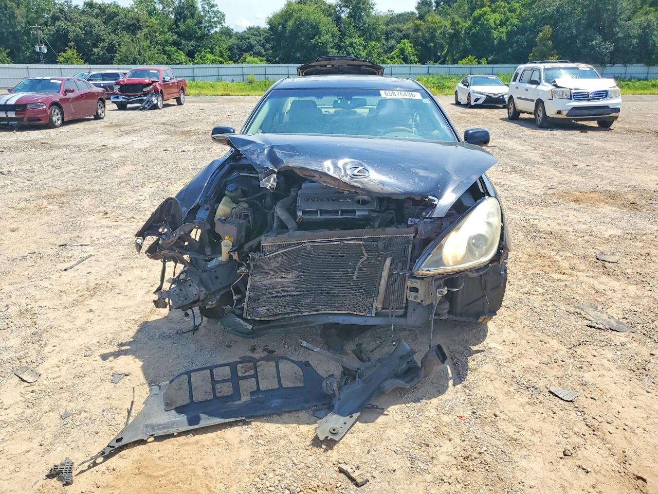 2006 Lexus Es 330 Black vin: JTHBA30GX65160448