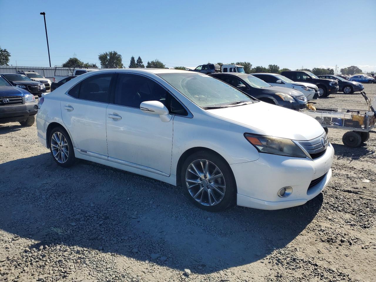 2010 Lexus Hs 250h White vin: JTHBB1BA0A2020784
