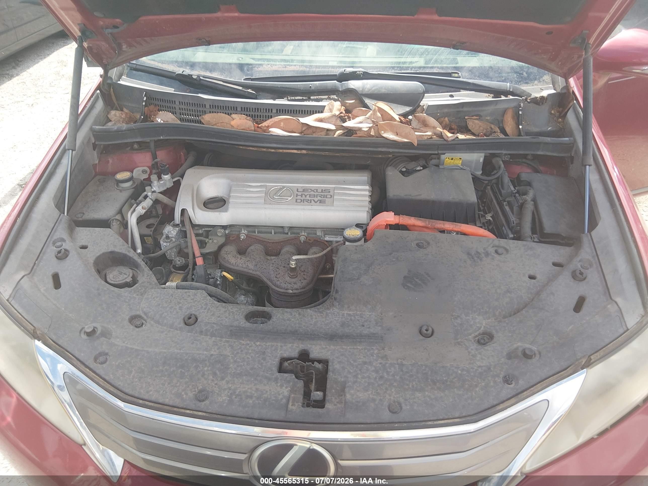2010 Lexus Hs 250h Premium Red vin: JTHBB1BA6A2025651