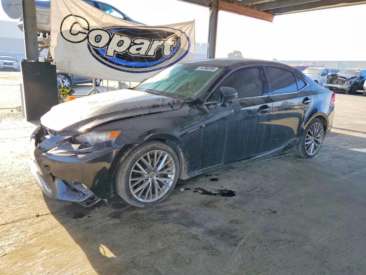 2014 Lexus Is 250 Black vin: JTHBF1D22E5020316