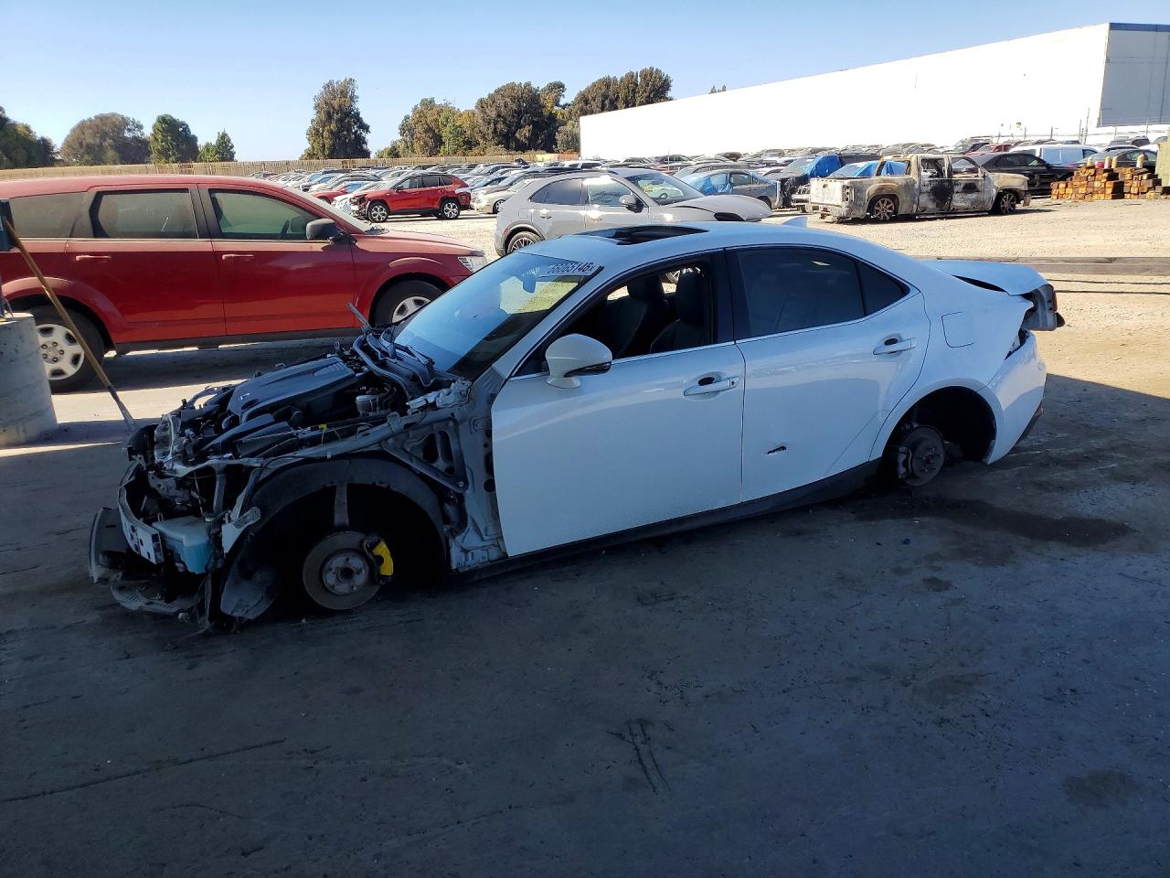 2014 Lexus Is 250 Белый vin: JTHBF1D23E5018347