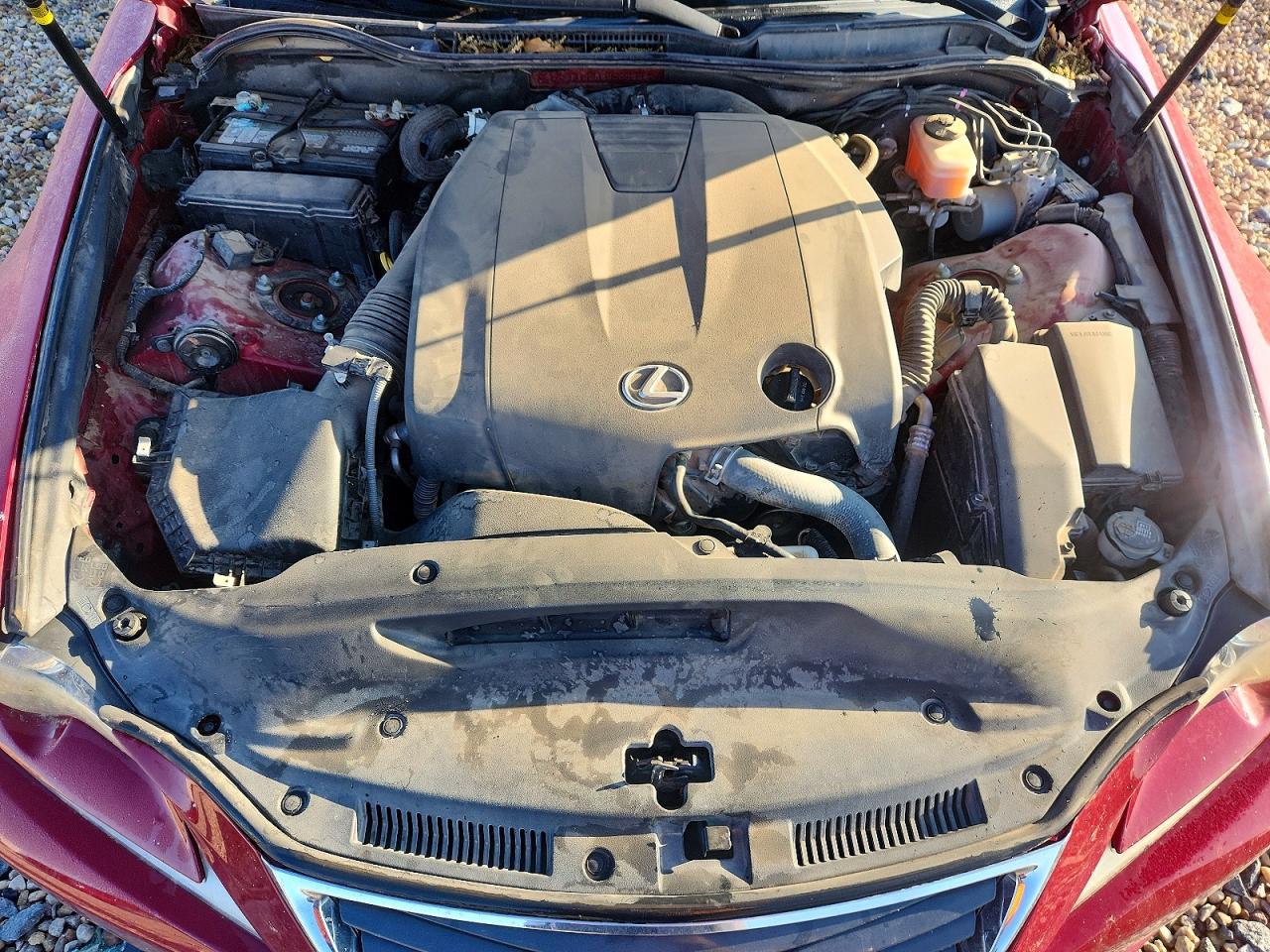 2014 Lexus Is 250 Красный vin: JTHBF1D28E5000328