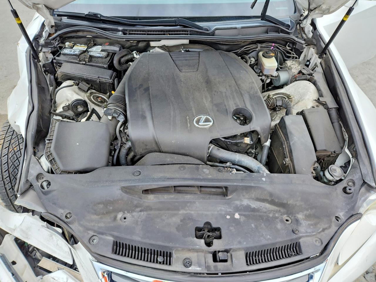 2014 Lexus Is 250 Белый vin: JTHBF1D28E5027920