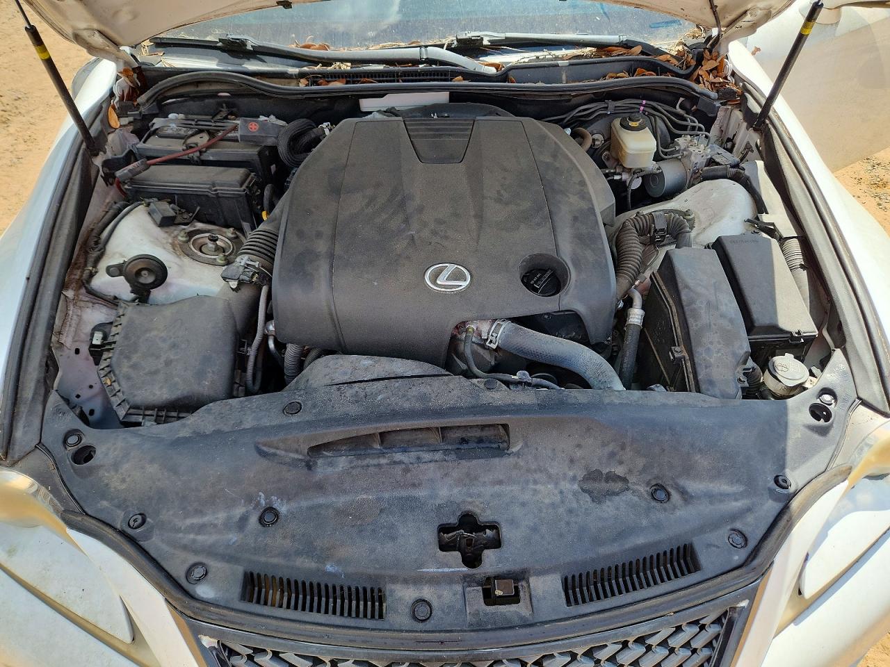 2014 Lexus Is 250 White vin: JTHBF1D29E5018899