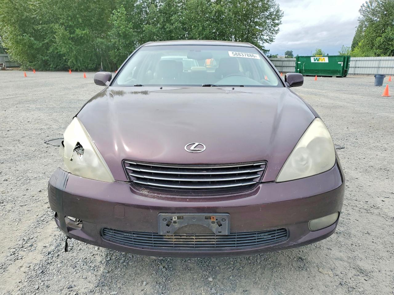 2002 Lexus Es 300 Purple vin: JTHBF30G125032885