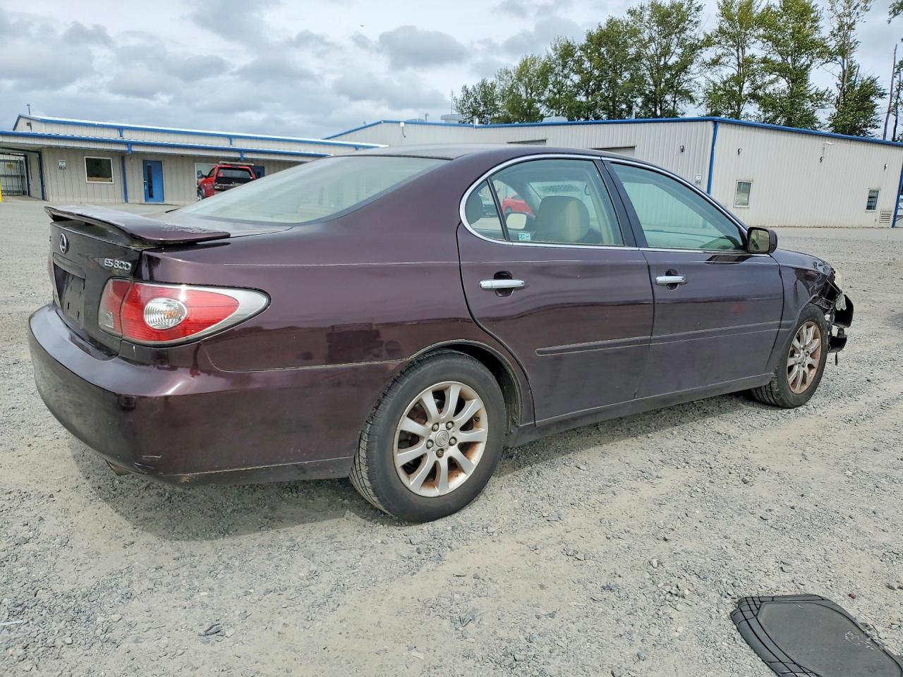 2002 Lexus Es 300 Purple vin: JTHBF30G125032885