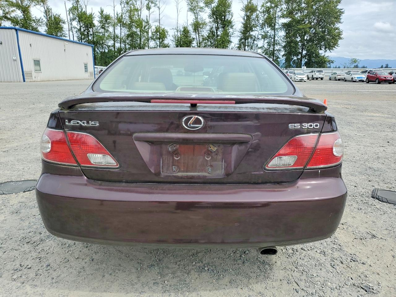 2002 Lexus Es 300 Purple vin: JTHBF30G125032885