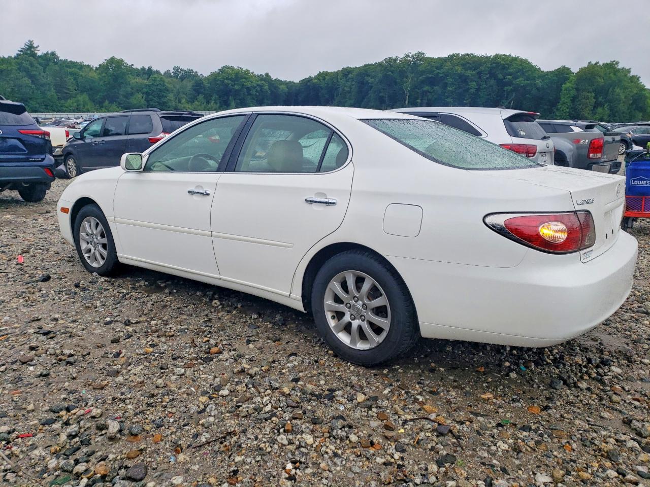 2003 Lexus Es 300 White vin: JTHBF30G130100682