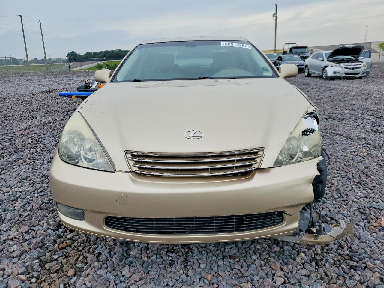 2003 Lexus Es 300 Gold vin: JTHBF30G136015161