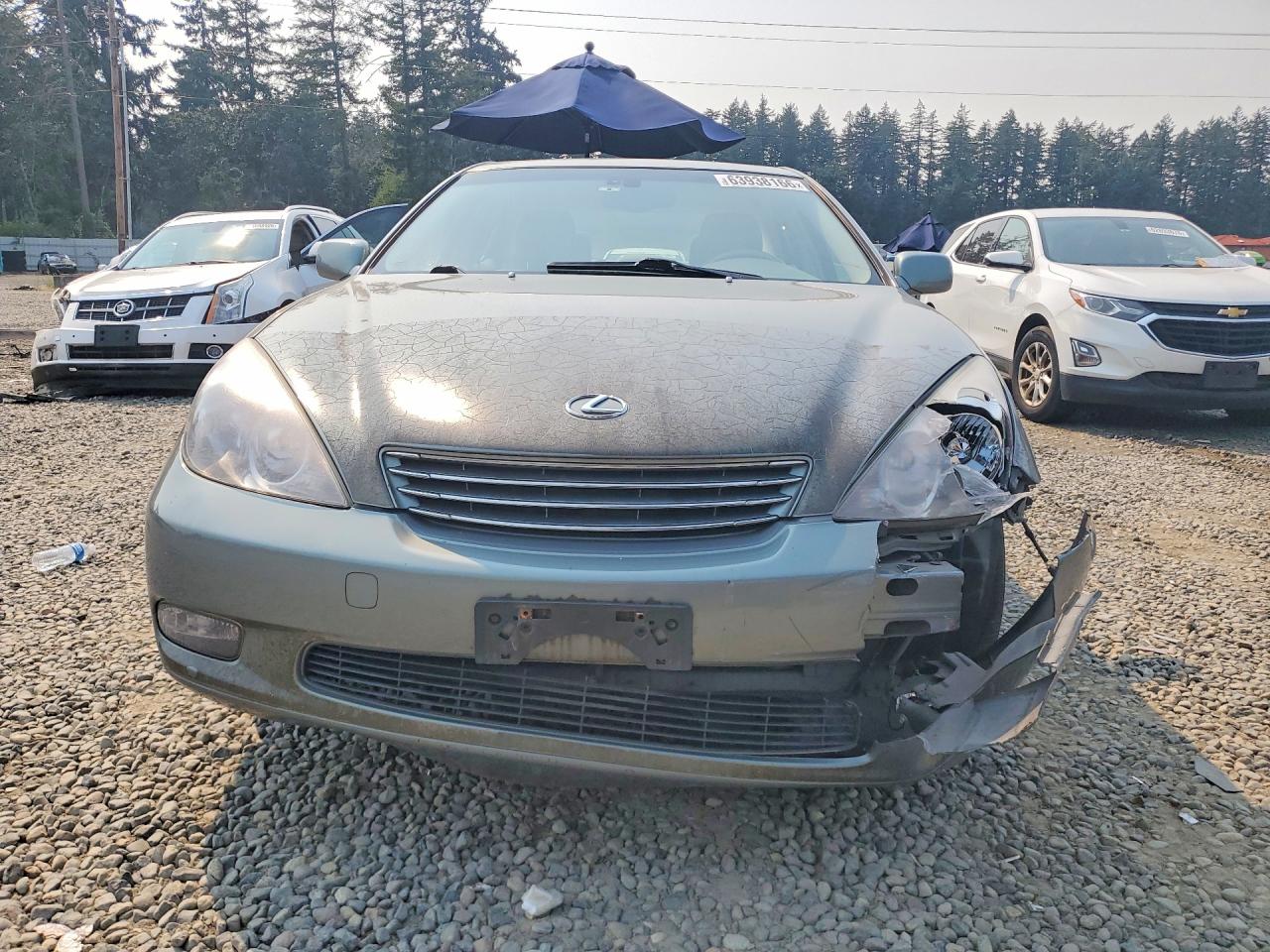 2002 Lexus Es 300 Green vin: JTHBF30G220041737