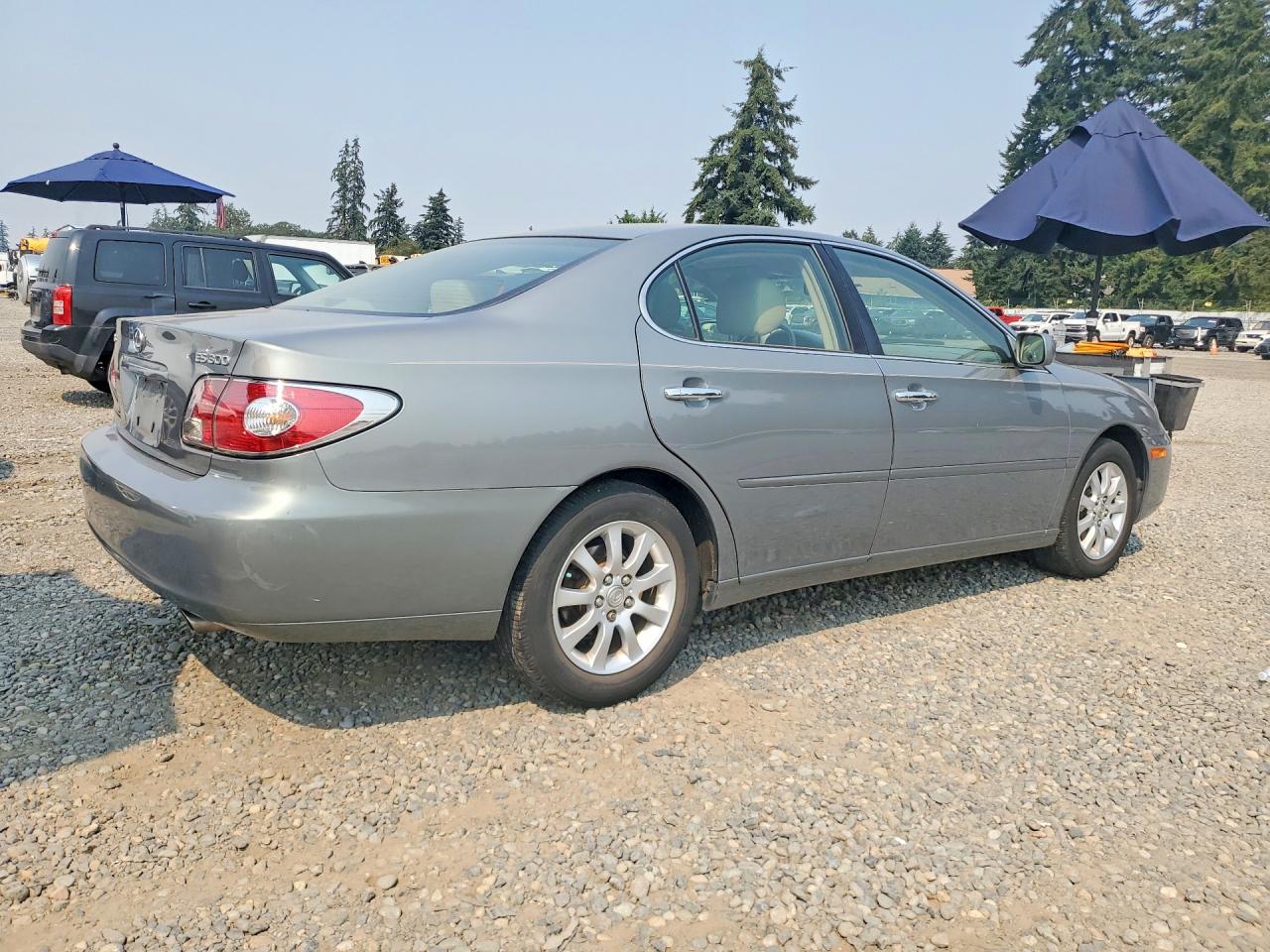 2002 Lexus Es 300 Green vin: JTHBF30G220041737
