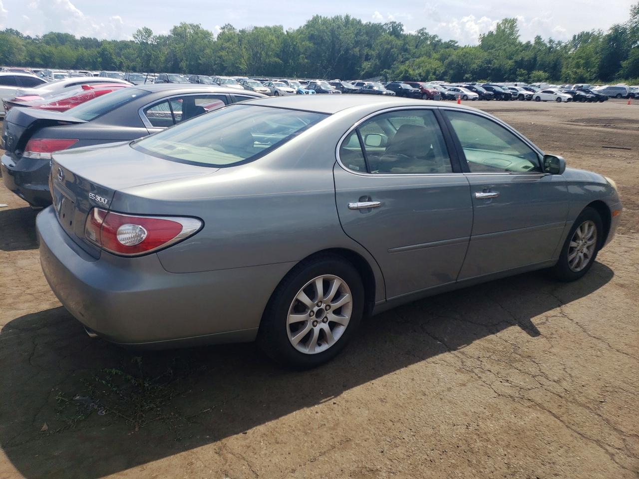 2002 Lexus Es 300 Gray vin: JTHBF30G225024455