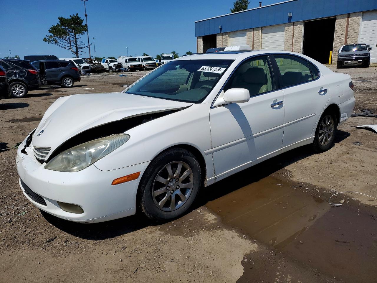 2002 Lexus Es 300 Белый vin: JTHBF30G225026271