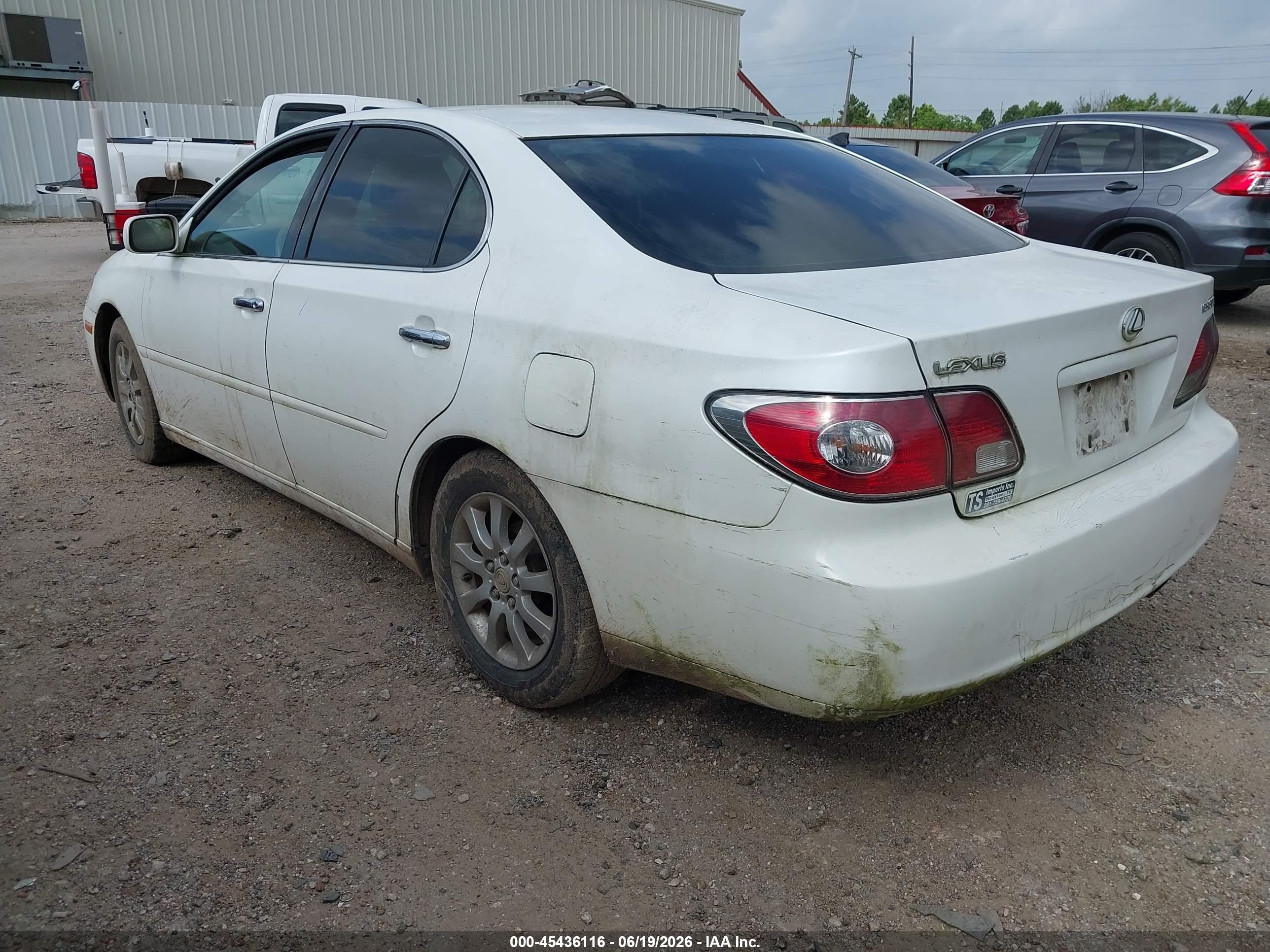 2003 Lexus Es 300 White vin: JTHBF30G230123081