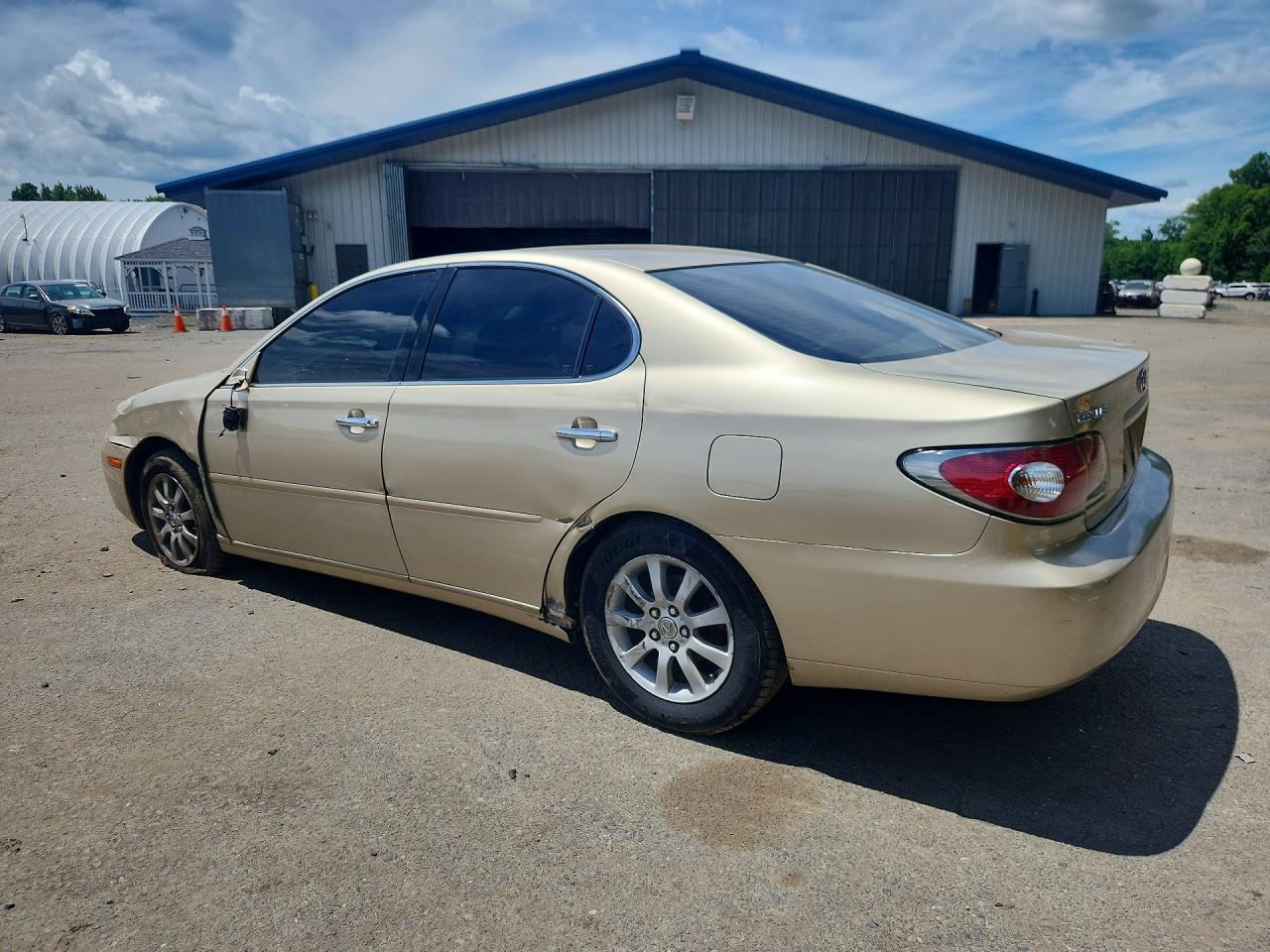 2003 Lexus Es 300 Tan vin: JTHBF30G230144559