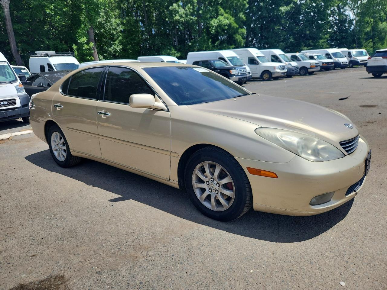 2003 Lexus Es 300 Tan vin: JTHBF30G230144559