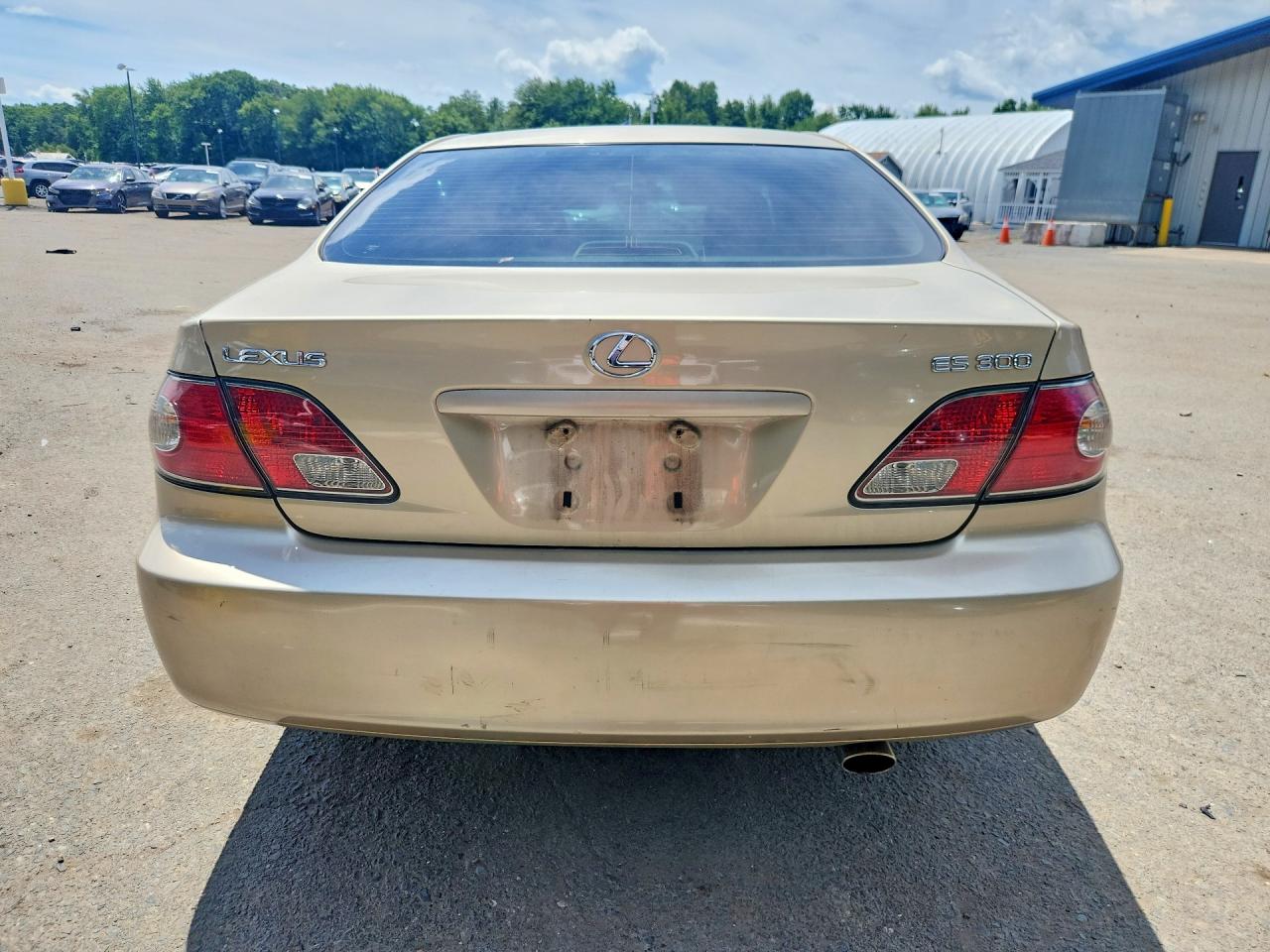 2003 Lexus Es 300 Tan vin: JTHBF30G230144559