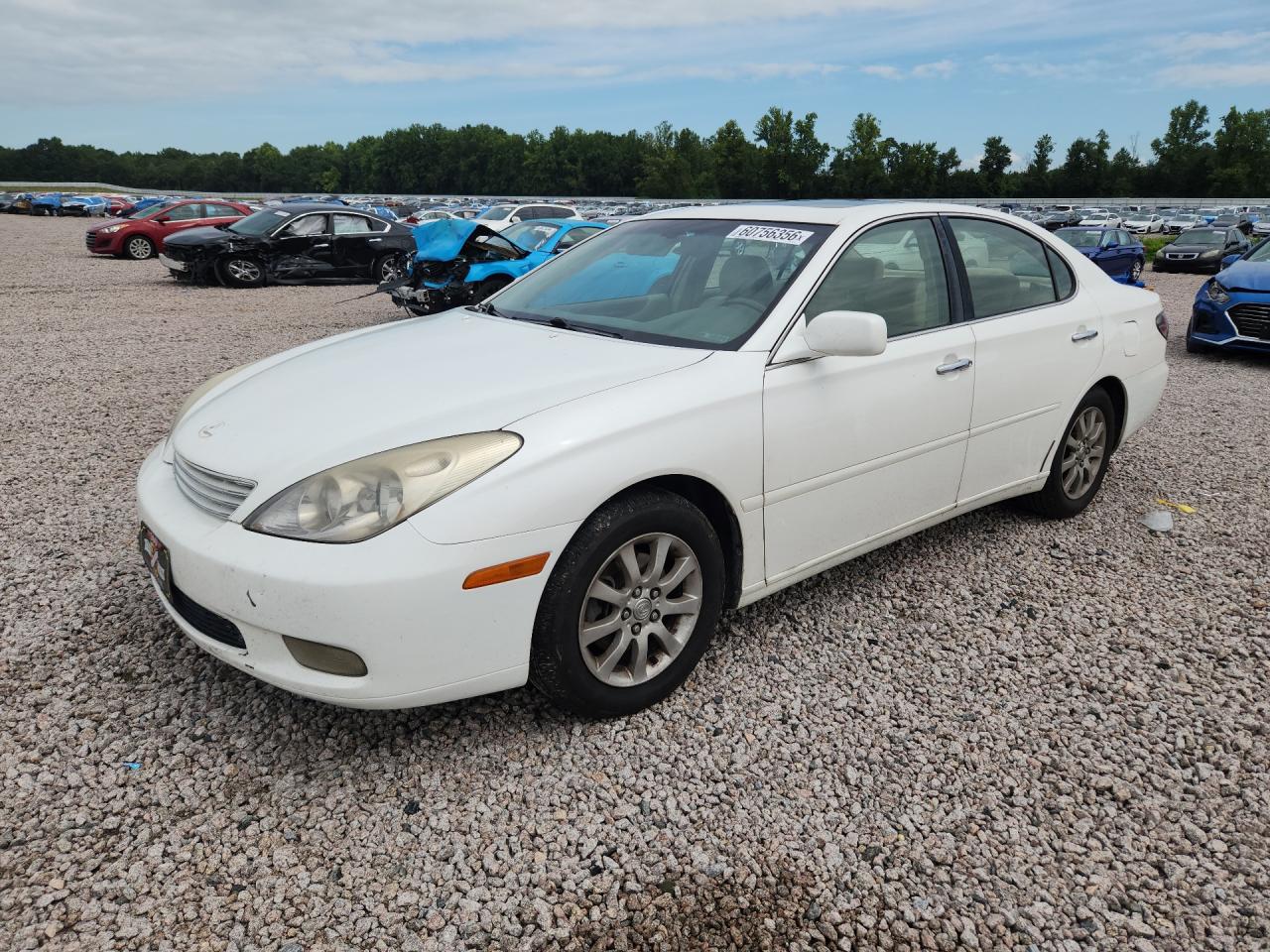 2003 Lexus Es 300 White vin: JTHBF30G236010907