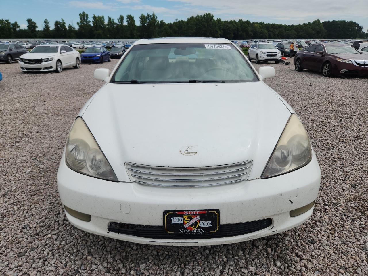 2003 Lexus Es 300 White vin: JTHBF30G236010907