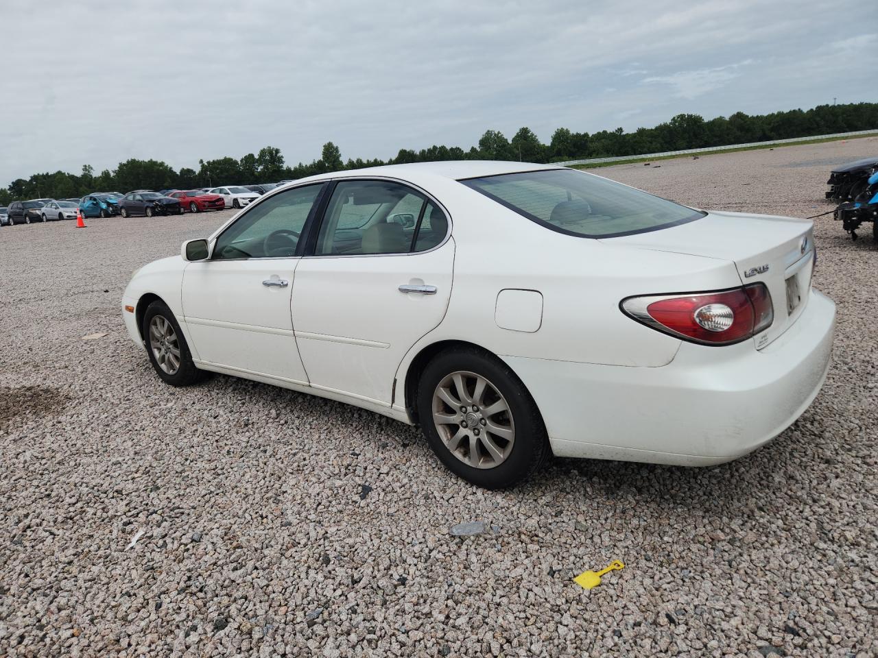 2003 Lexus Es 300 White vin: JTHBF30G236010907