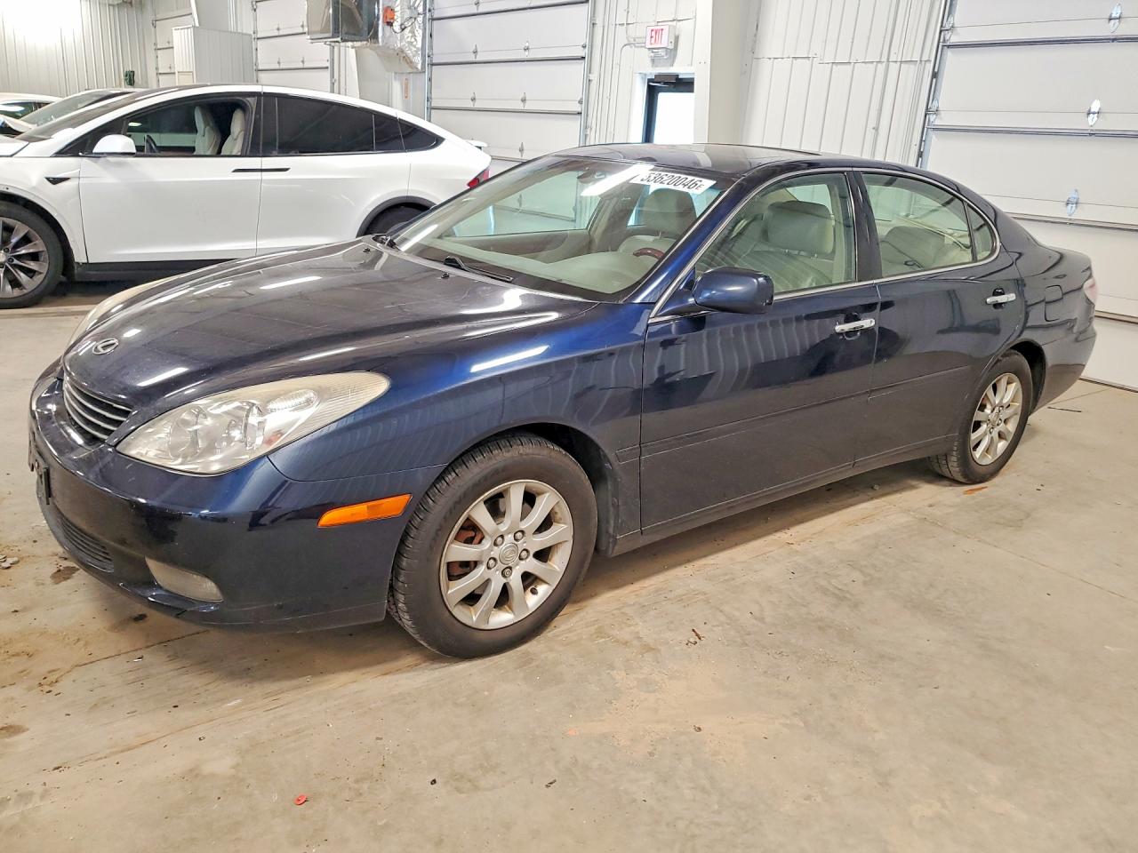 2003 Lexus Es 300 Blue vin: JTHBF30G330092651