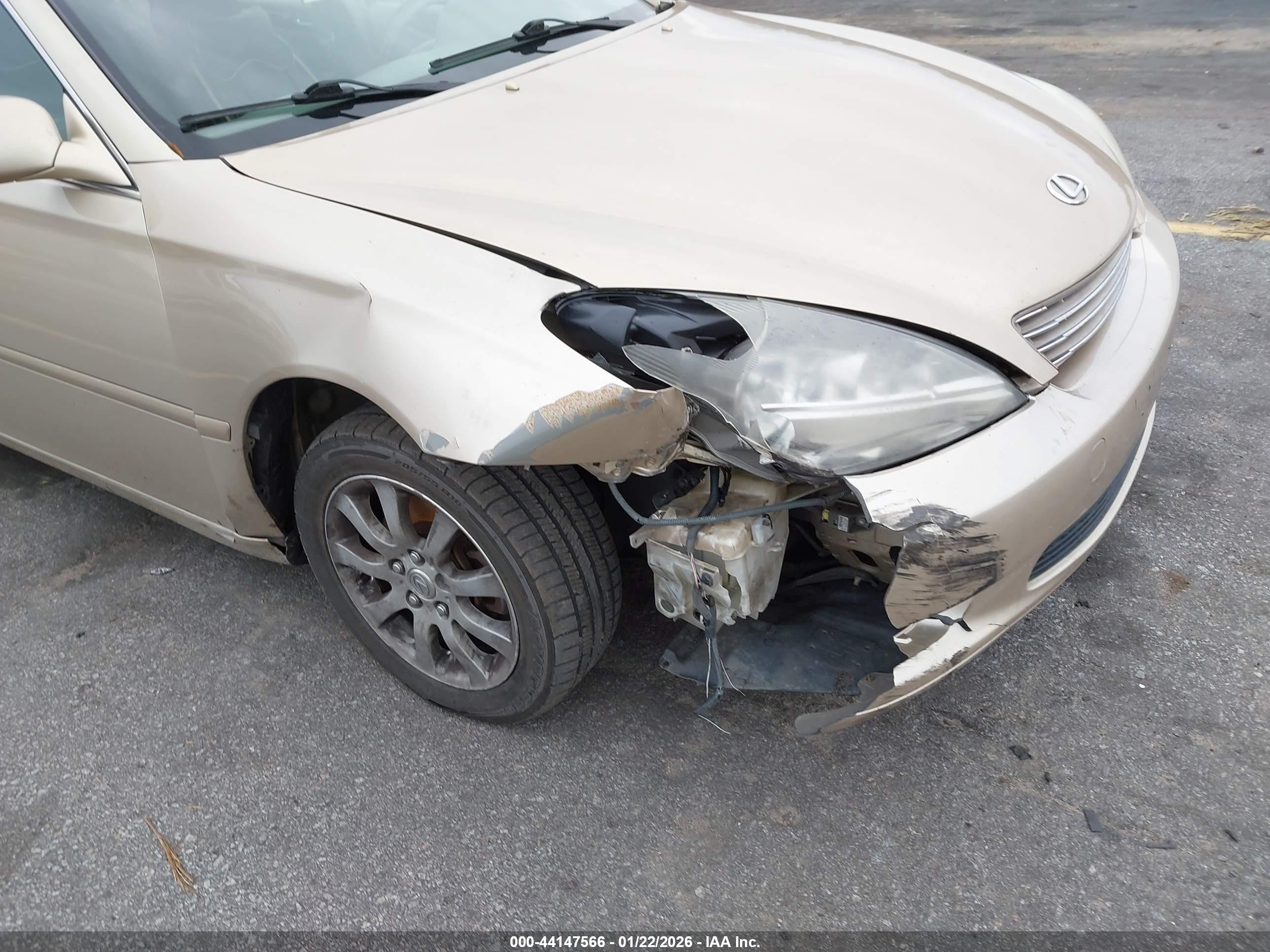 2003 Lexus Es 300   Champagne vin: JTHBF30G330132193