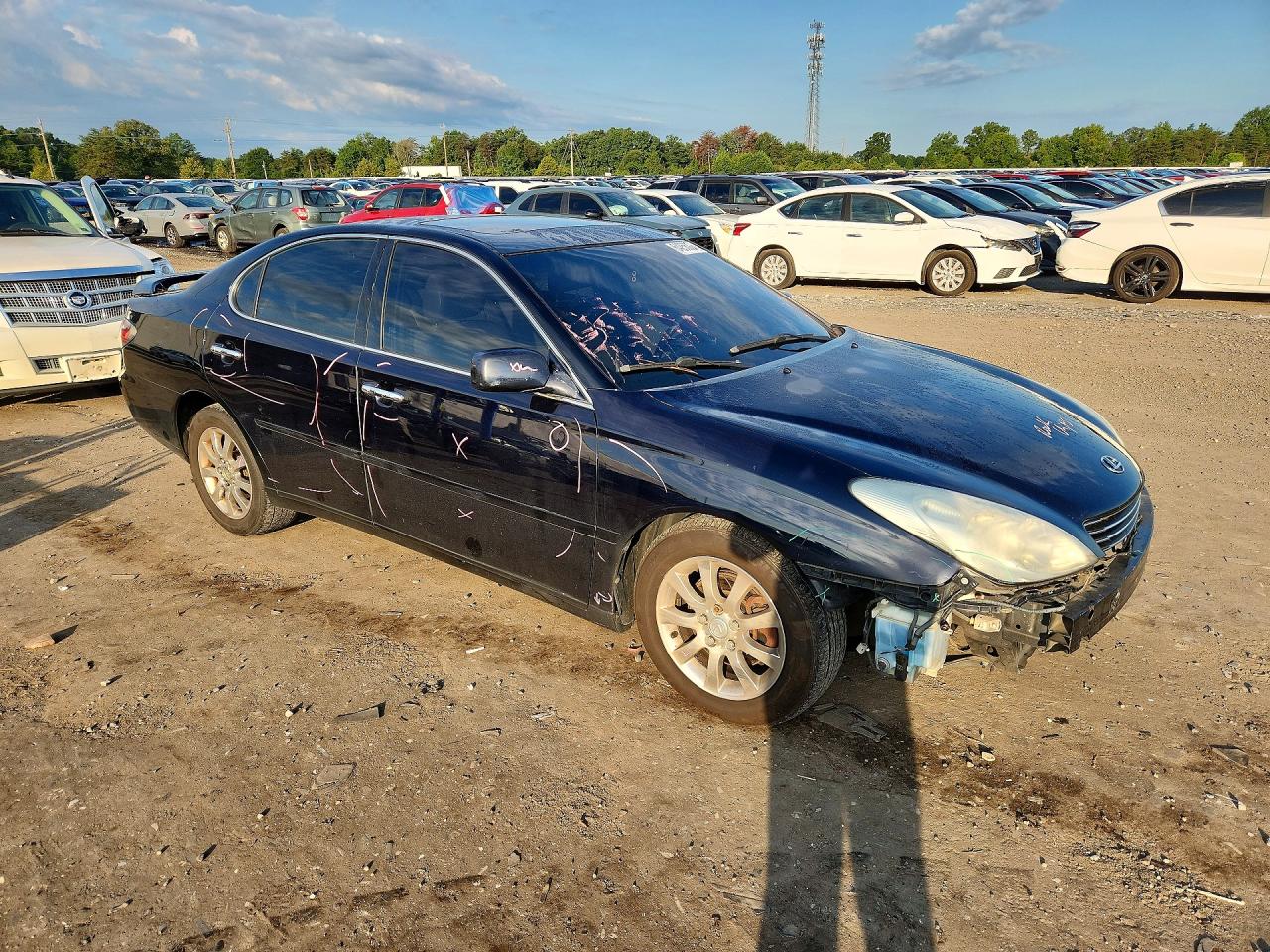 2003 Lexus Es 300 Синий vin: JTHBF30G336007790