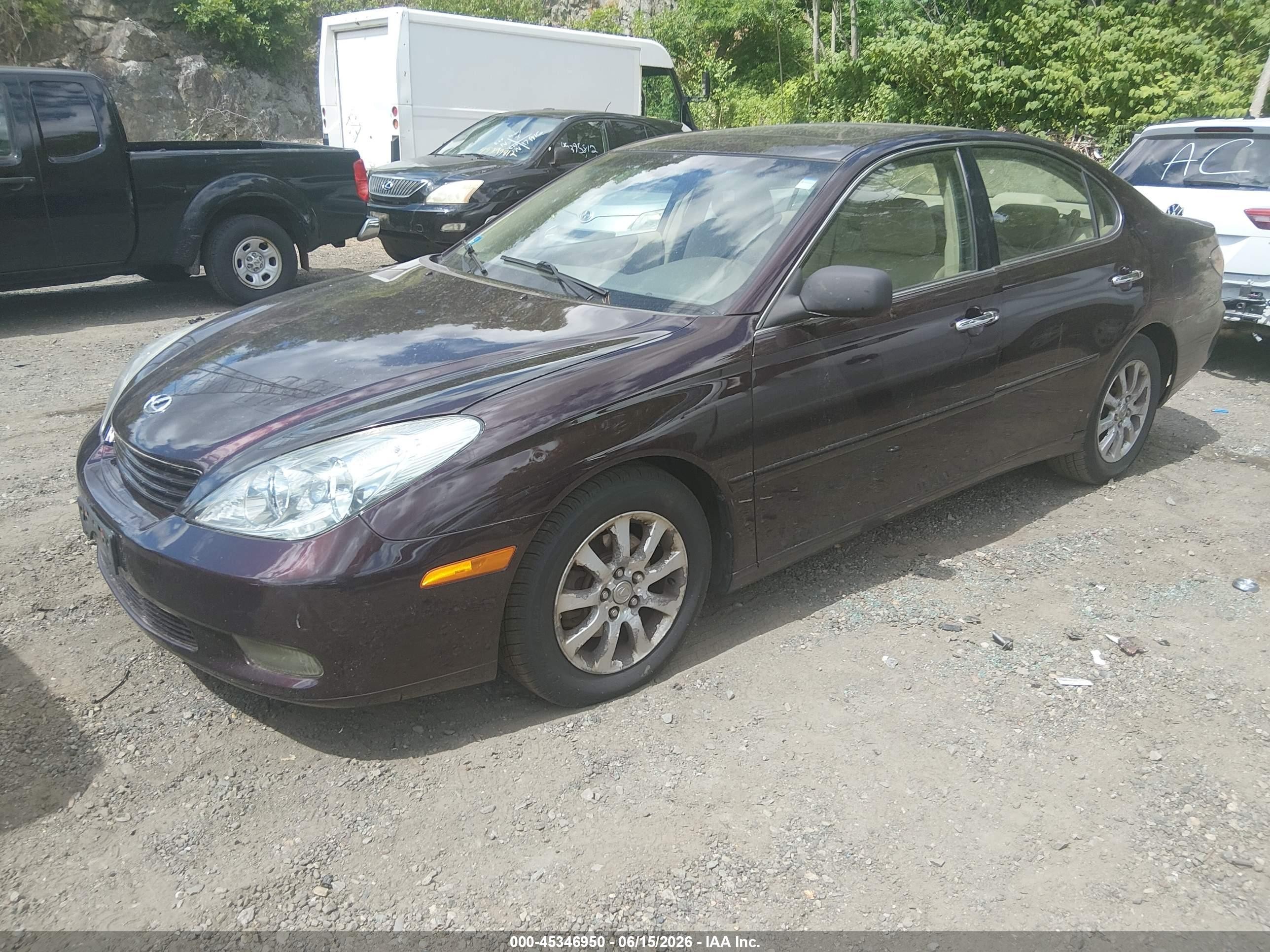 2002 Lexus Es 300   Темно-бордовый vin: JTHBF30G420043957