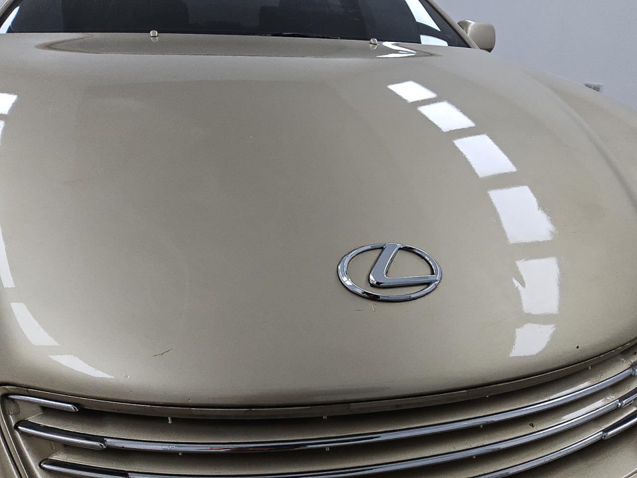 2002 Lexus Es 300 Tan vin: JTHBF30G420049676 Damage: Hood, Heavy Scratch, 1/2 To 1 Inch