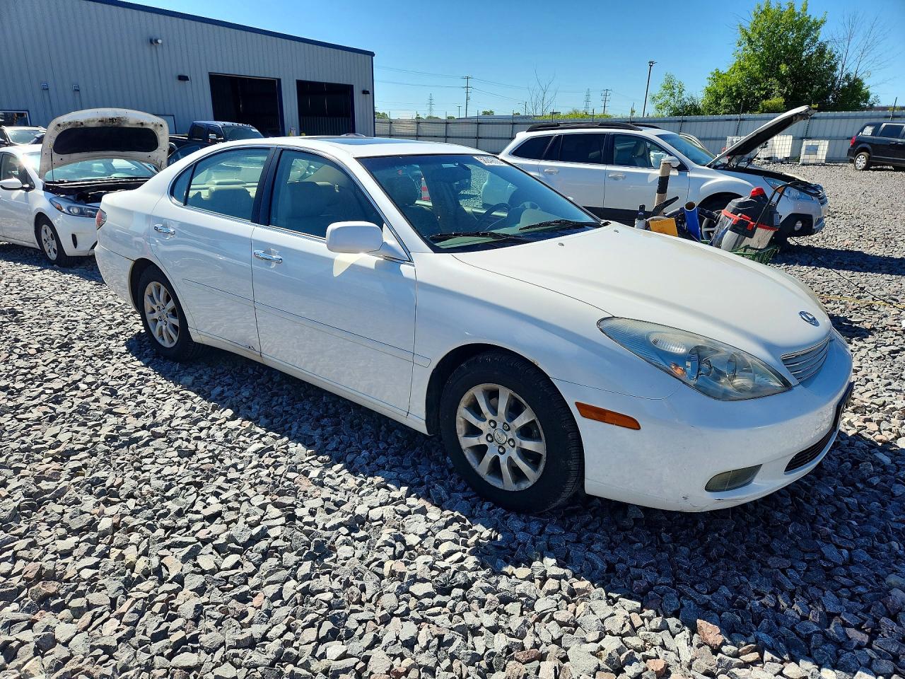 2003 Lexus Es 300 White vin: JTHBF30G436020371