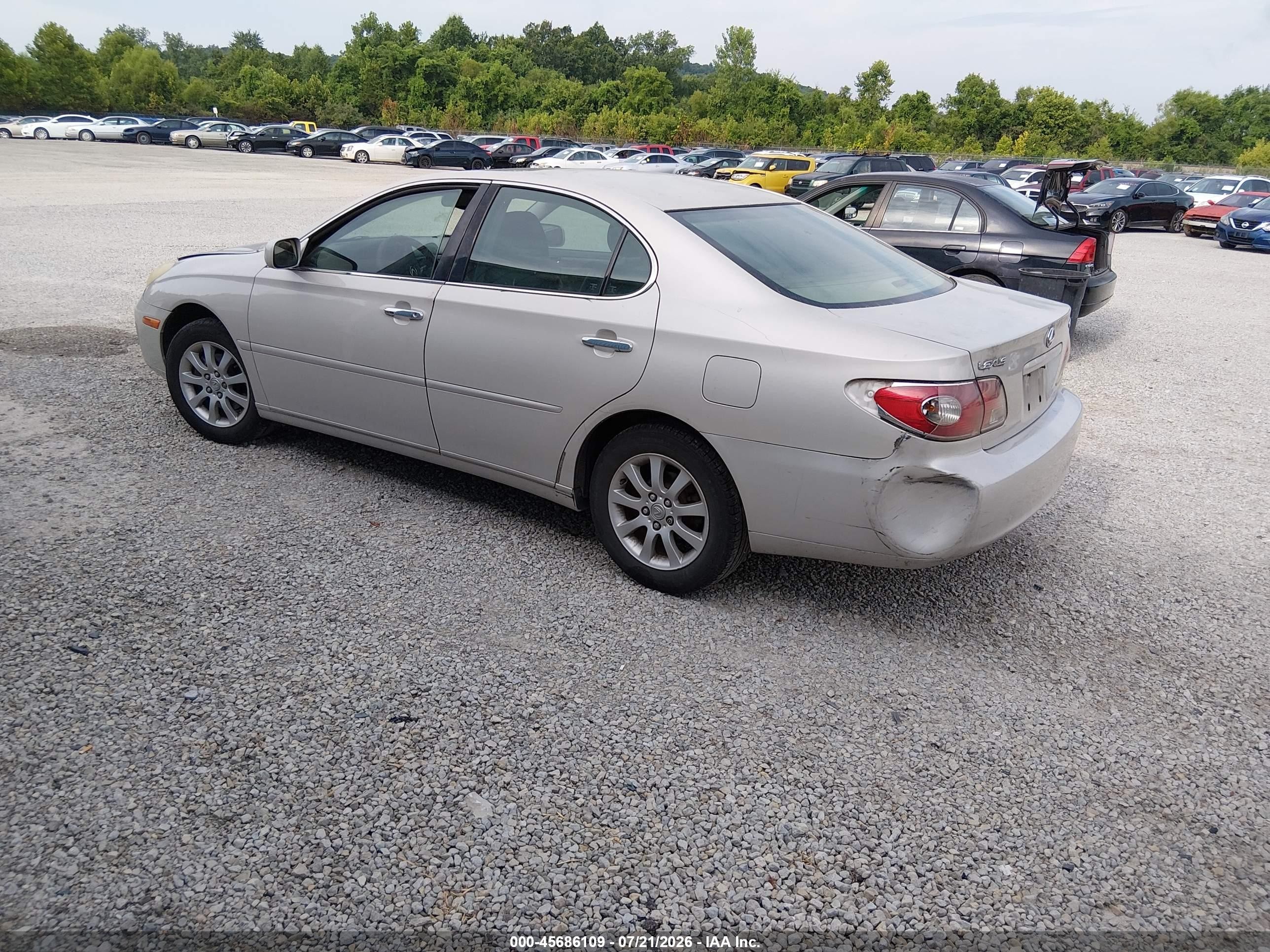 2003 Lexus Es 300   Gray vin: JTHBF30G530137461