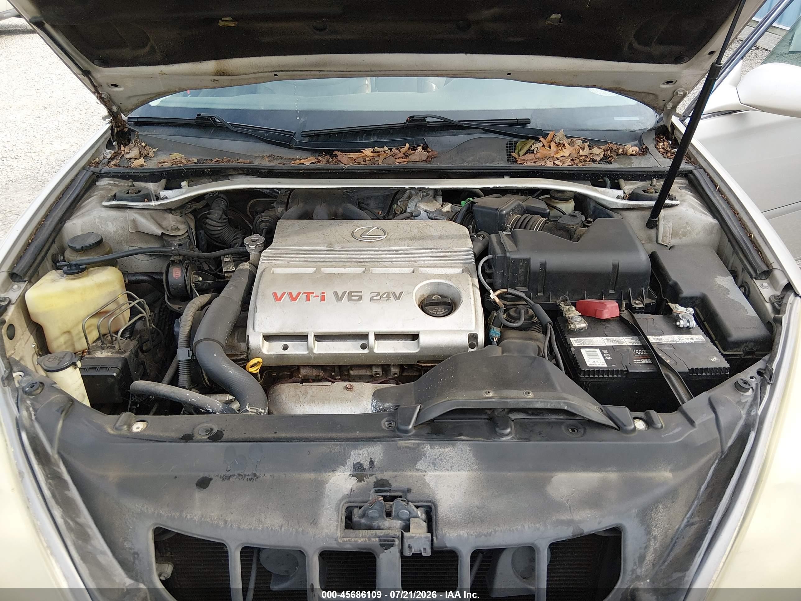 2003 Lexus Es 300   Gray vin: JTHBF30G530137461
