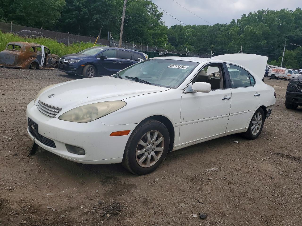 2003 Lexus Es 300 White vin: JTHBF30G536014854