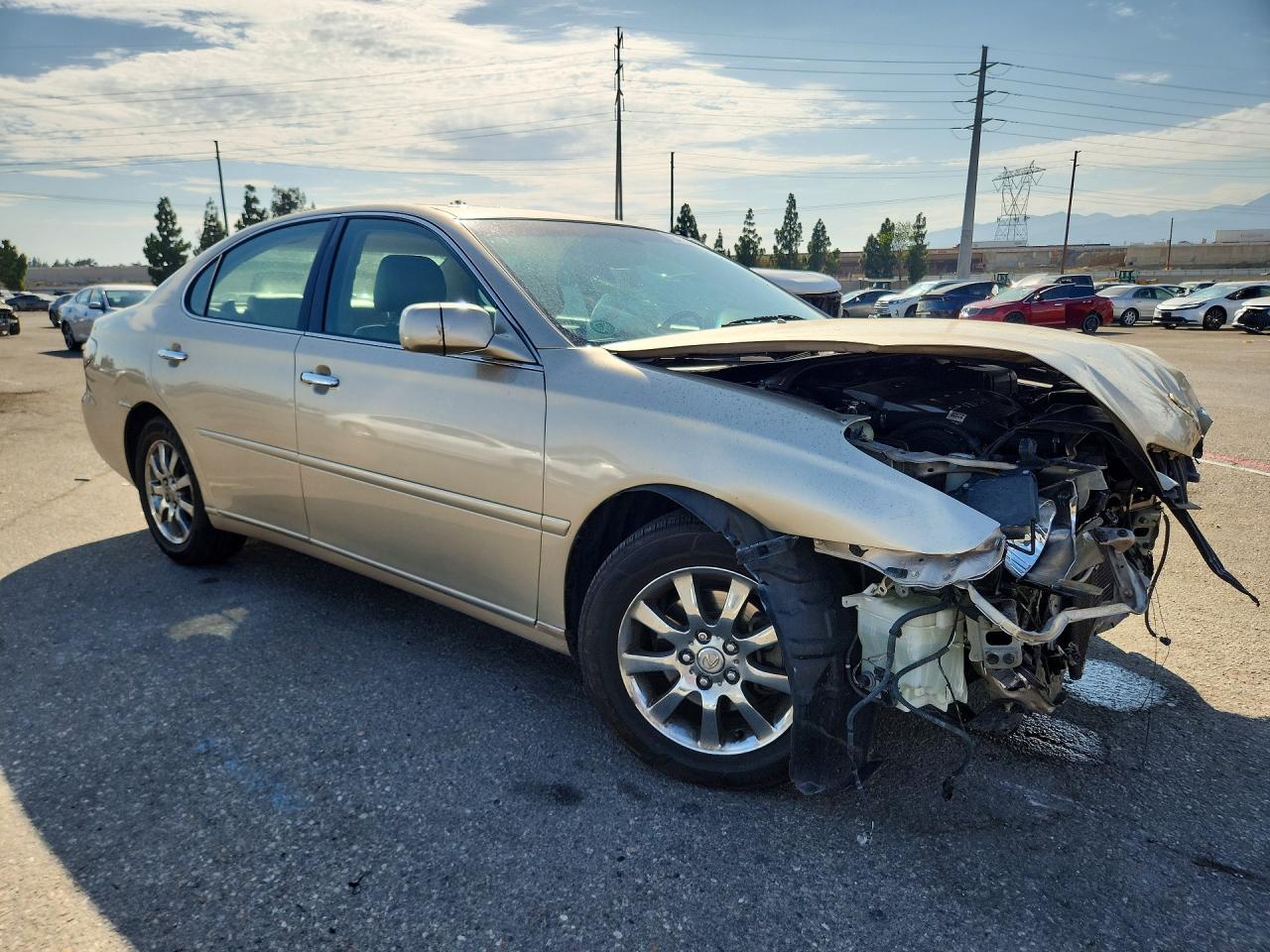 2003 Lexus Es 300 Gold vin: JTHBF30G636011297