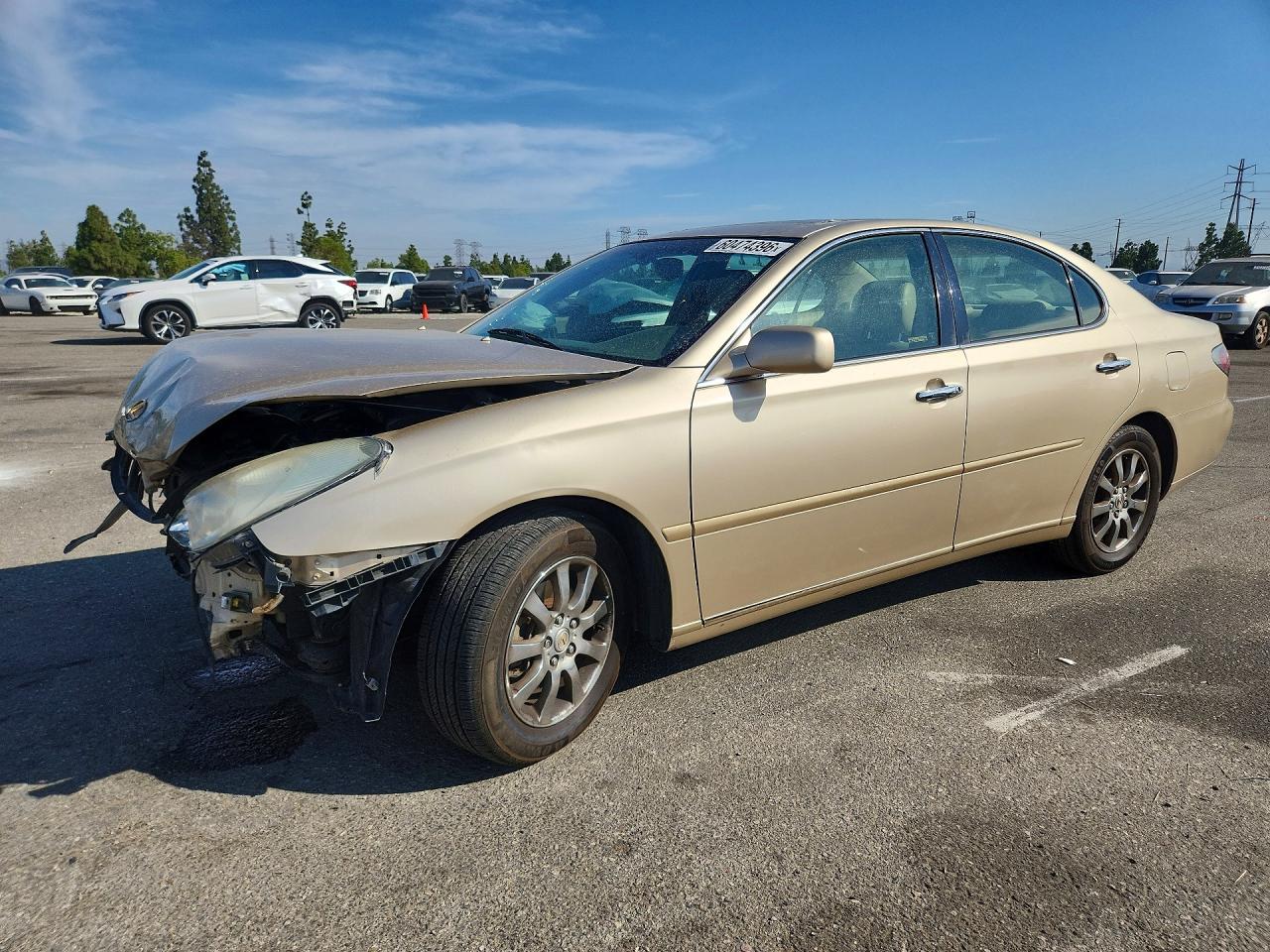 2003 Lexus Es 300 Gold vin: JTHBF30G636011297