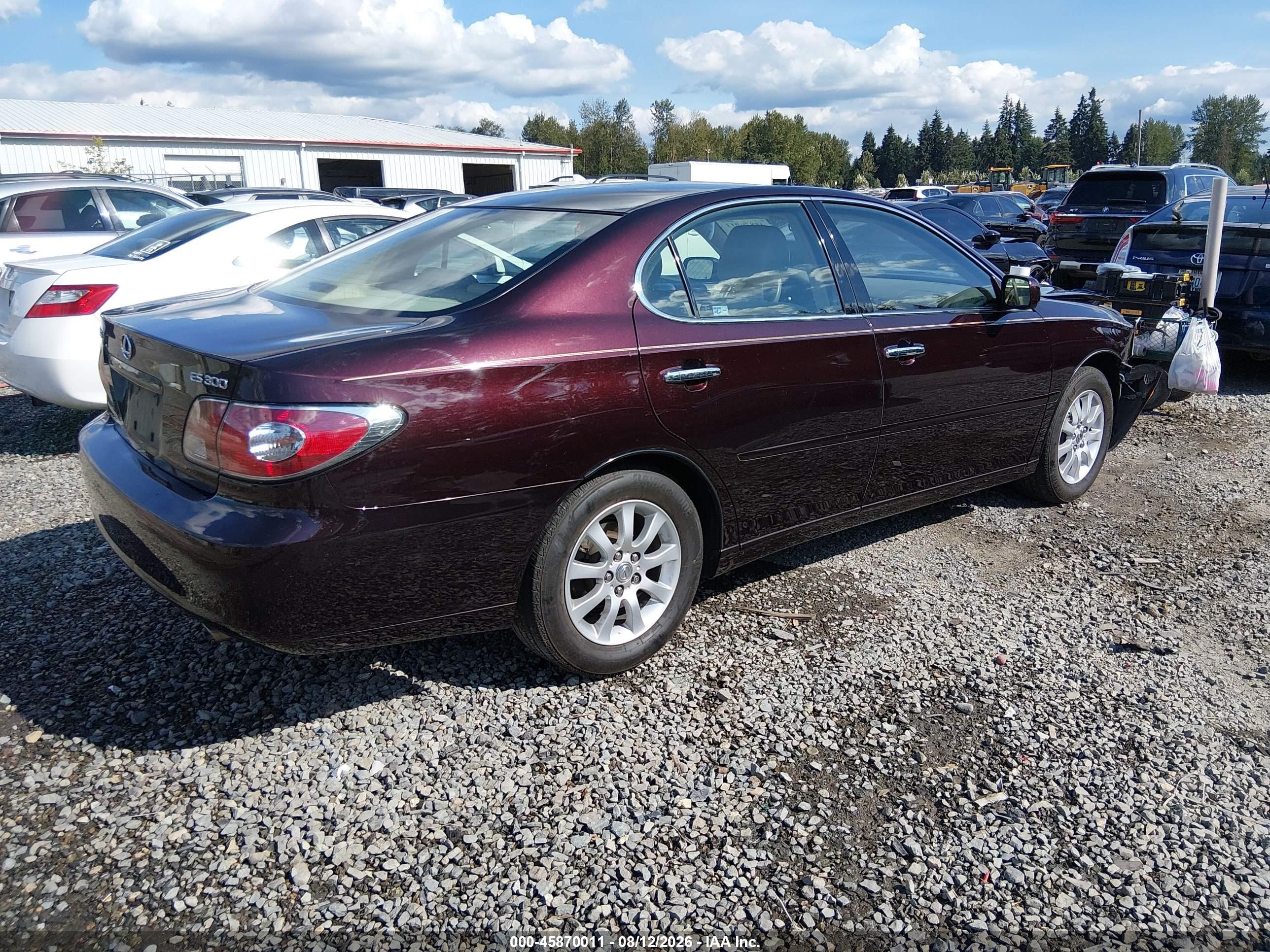 2002 Lexus Es 300   Purple vin: JTHBF30G725029215