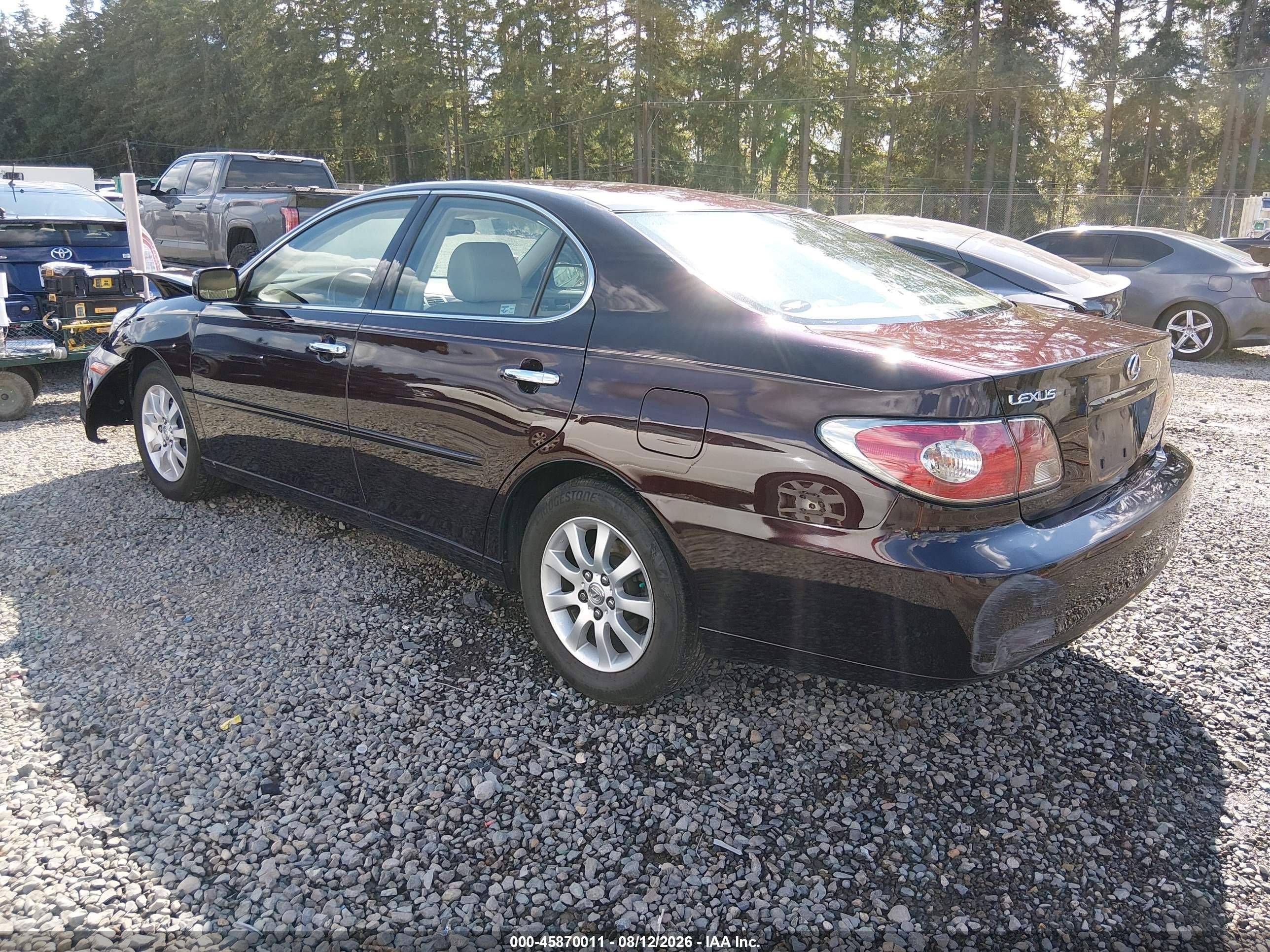 2002 Lexus Es 300   Purple vin: JTHBF30G725029215