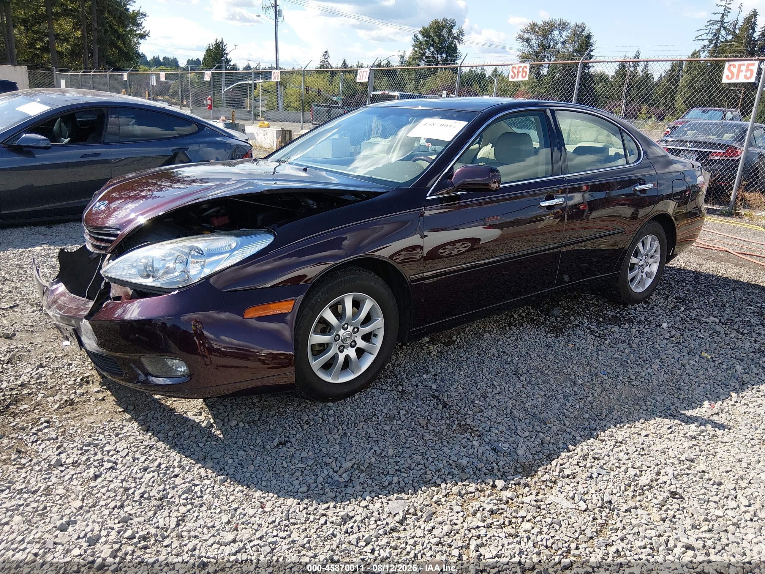 2002 Lexus Es 300   Purple vin: JTHBF30G725029215