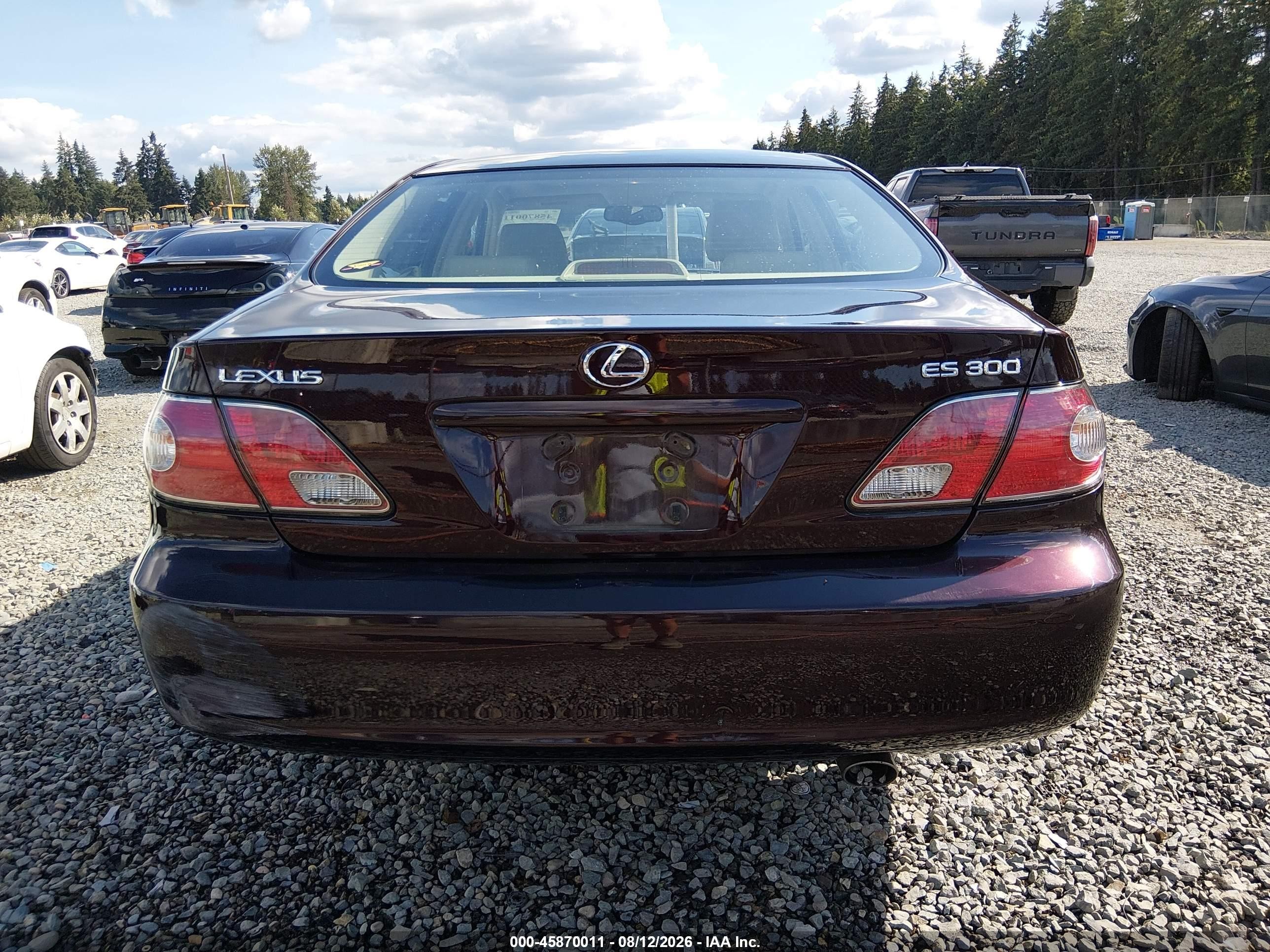 2002 Lexus Es 300   Purple vin: JTHBF30G725029215