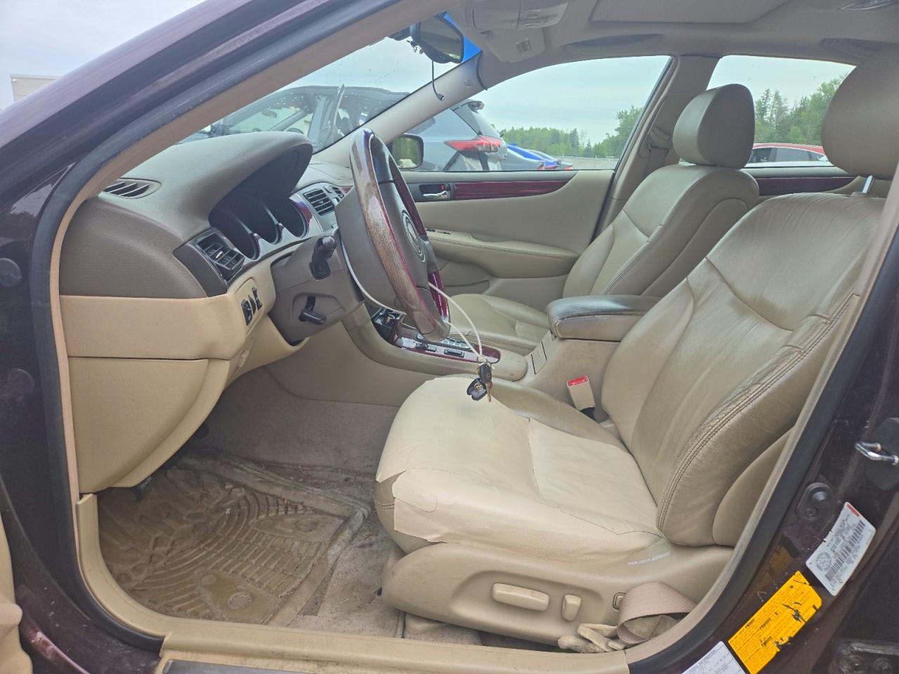 2003 Lexus Es 300 Burgundy vin: JTHBF30G730100704