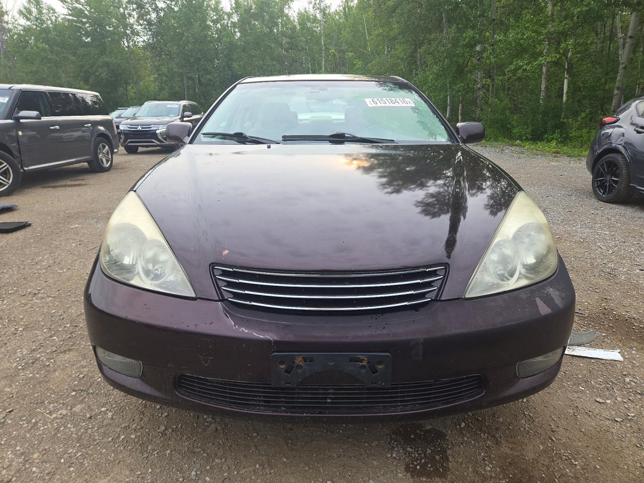2003 Lexus Es 300 Burgundy vin: JTHBF30G730100704
