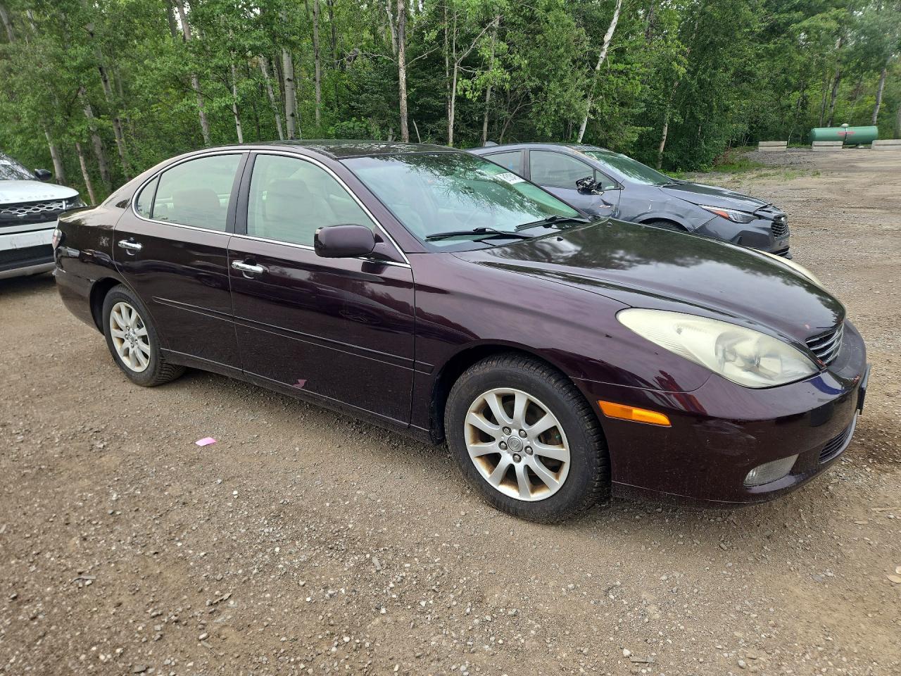 2003 Lexus Es 300 Burgundy vin: JTHBF30G730100704